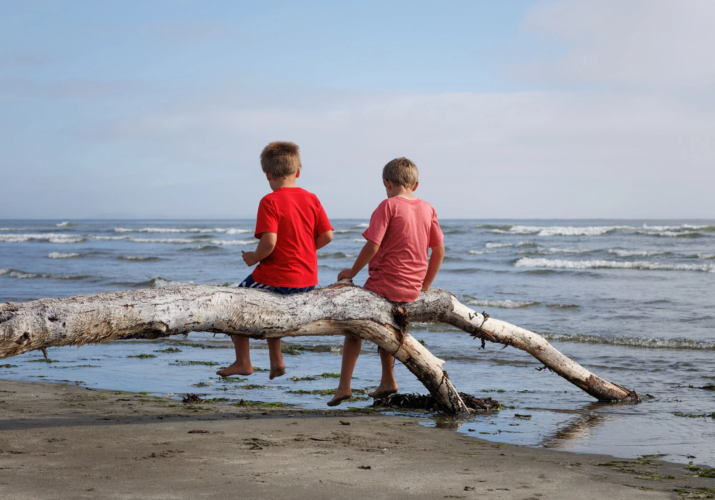 Ocean 2024 - 053.jpg