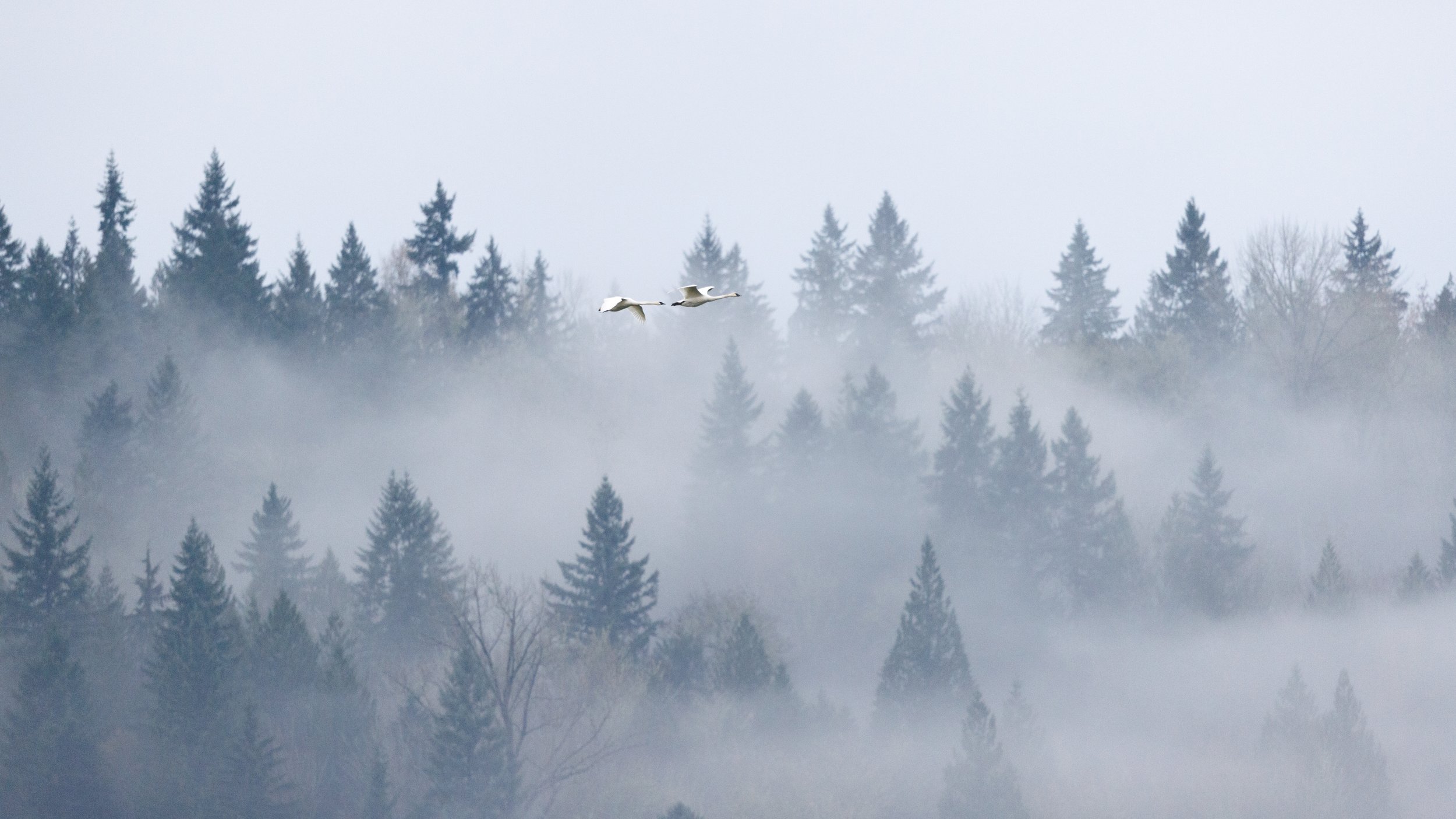 2025-11-26.jpg