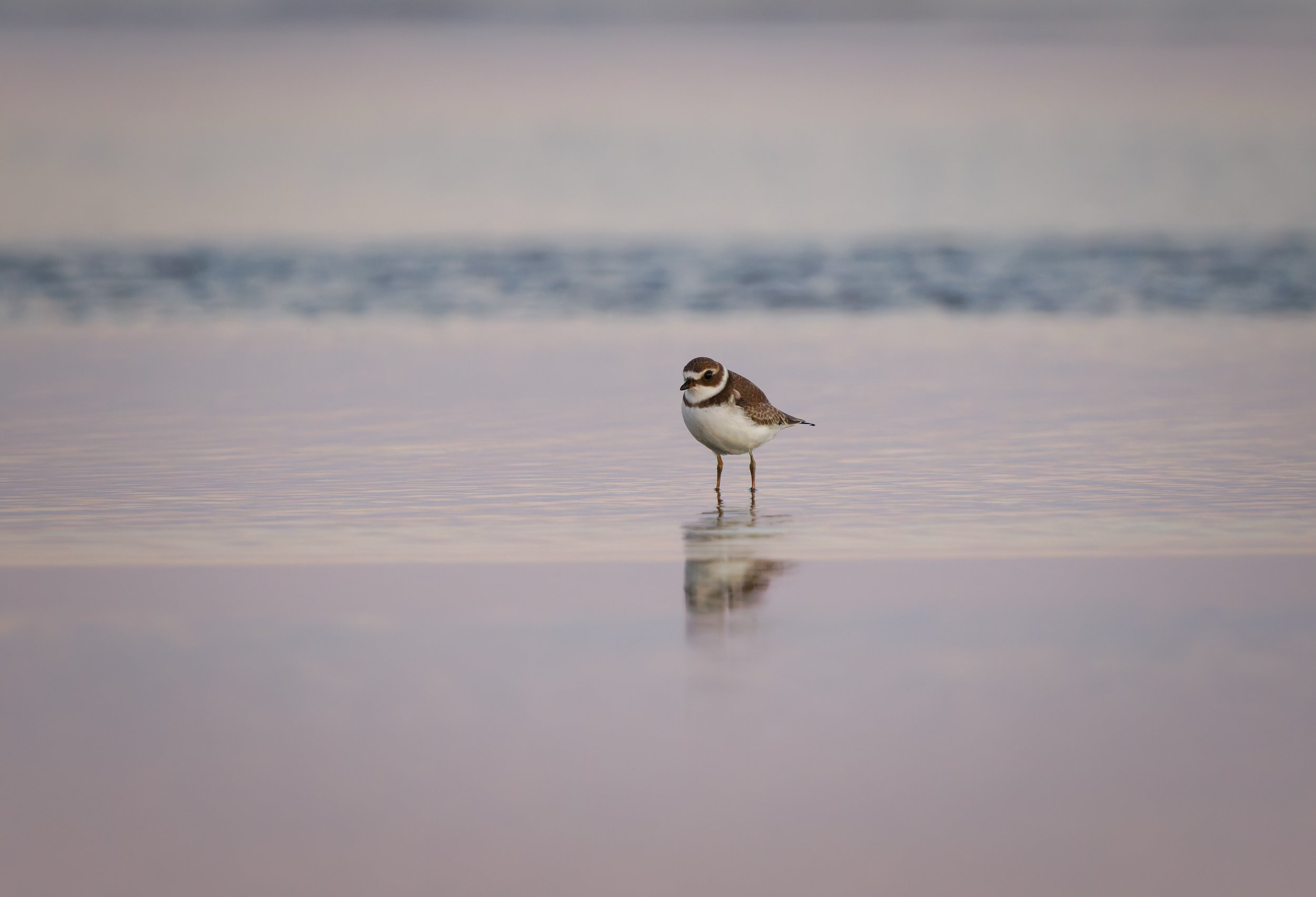 Ocean 2025 - 067.jpg