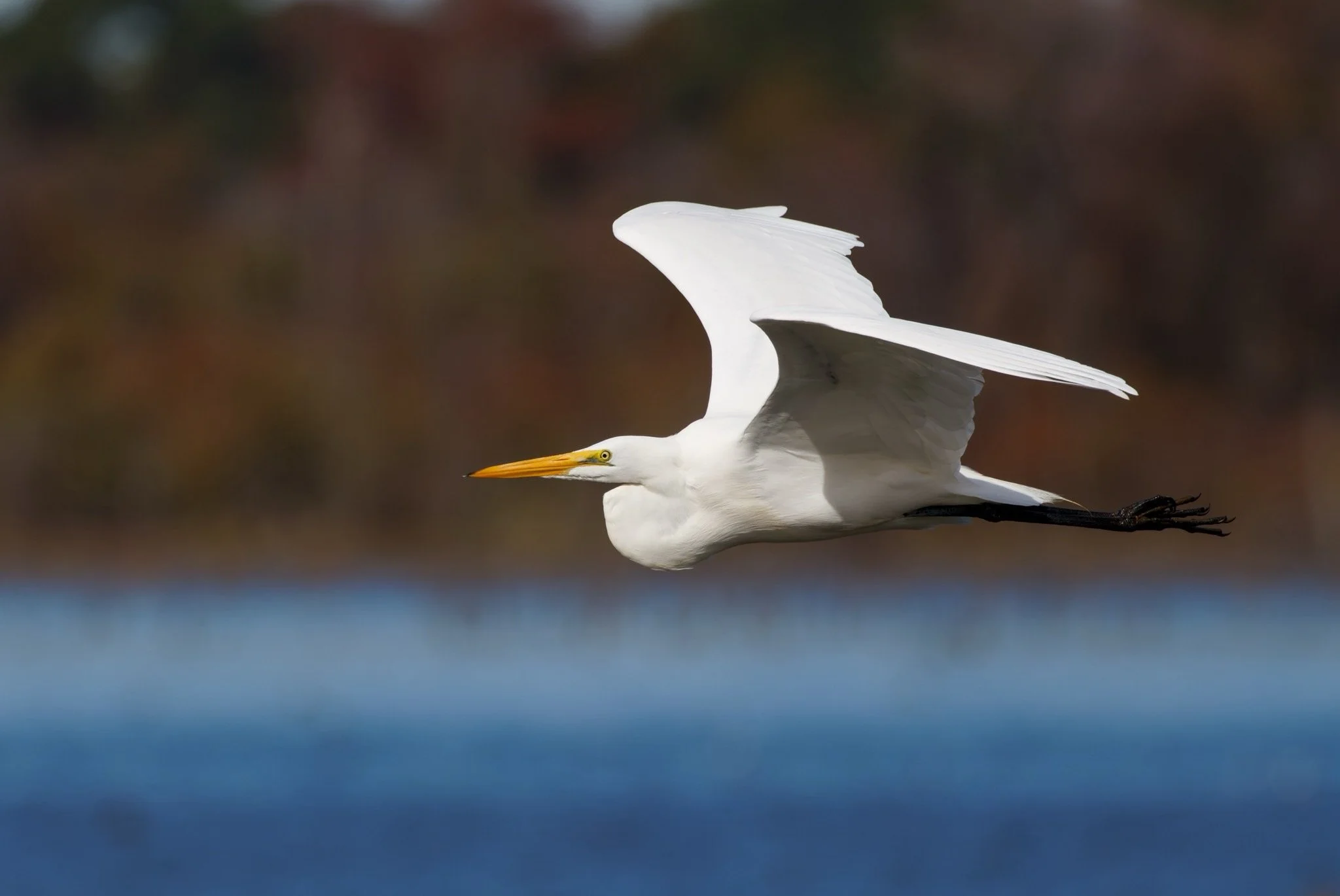 Texas 2023 - 047.jpg