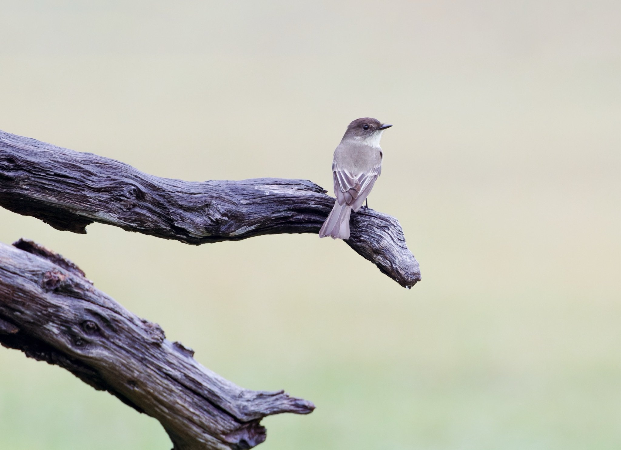 Texas 2023 - 006.jpg