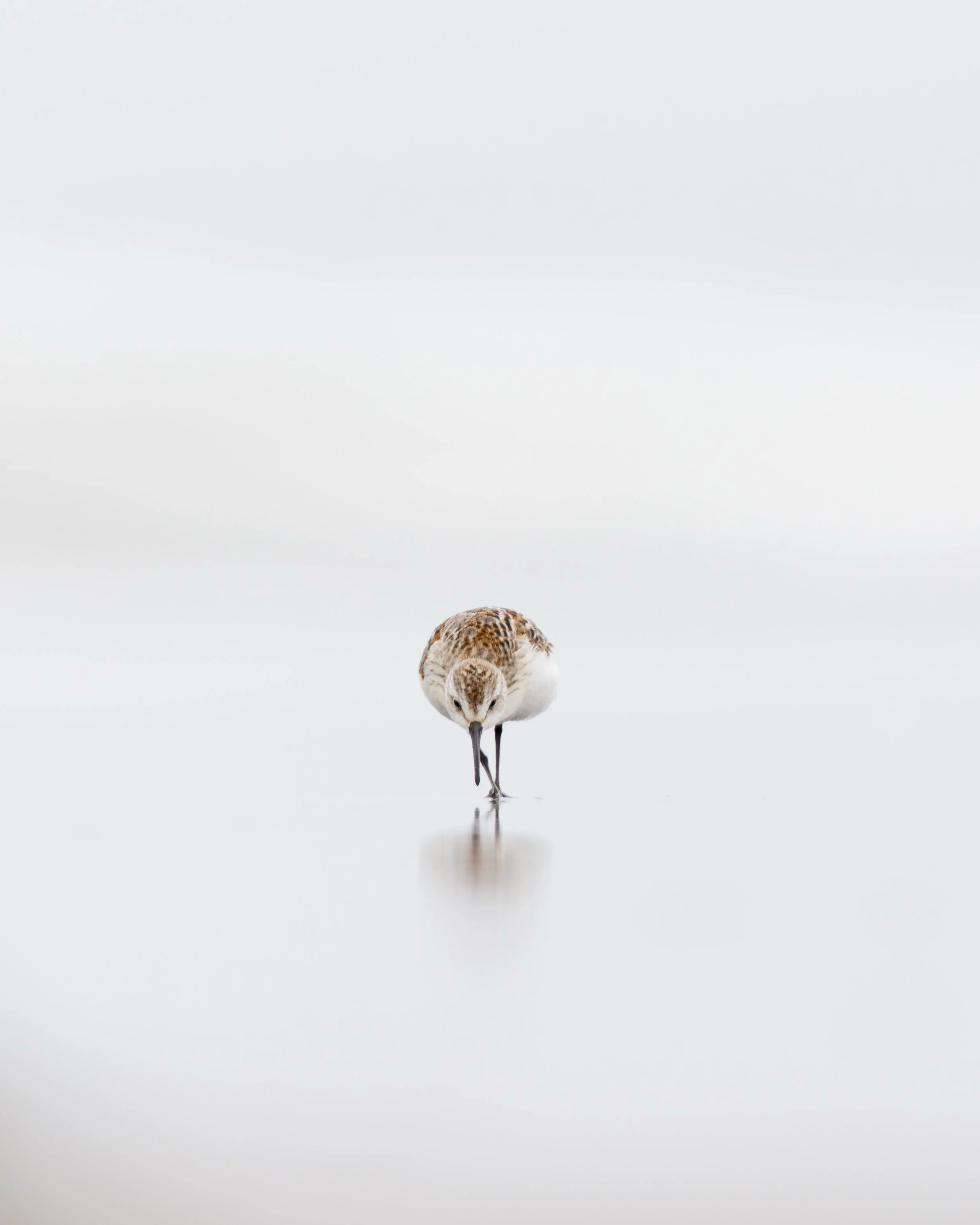 Ocean 2025 - 074.jpg