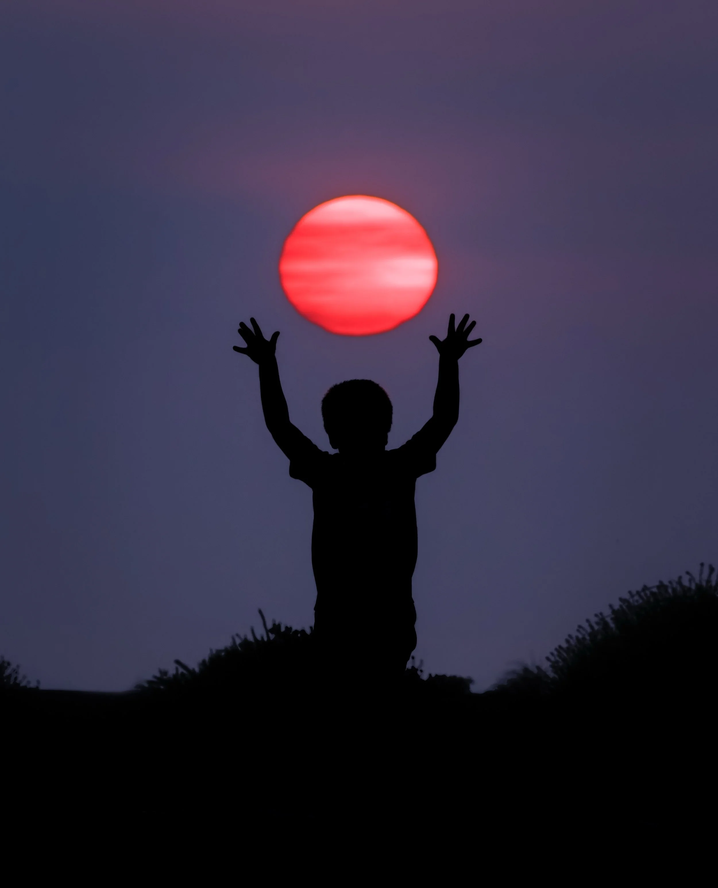 Ocean 2024 - 025.jpg