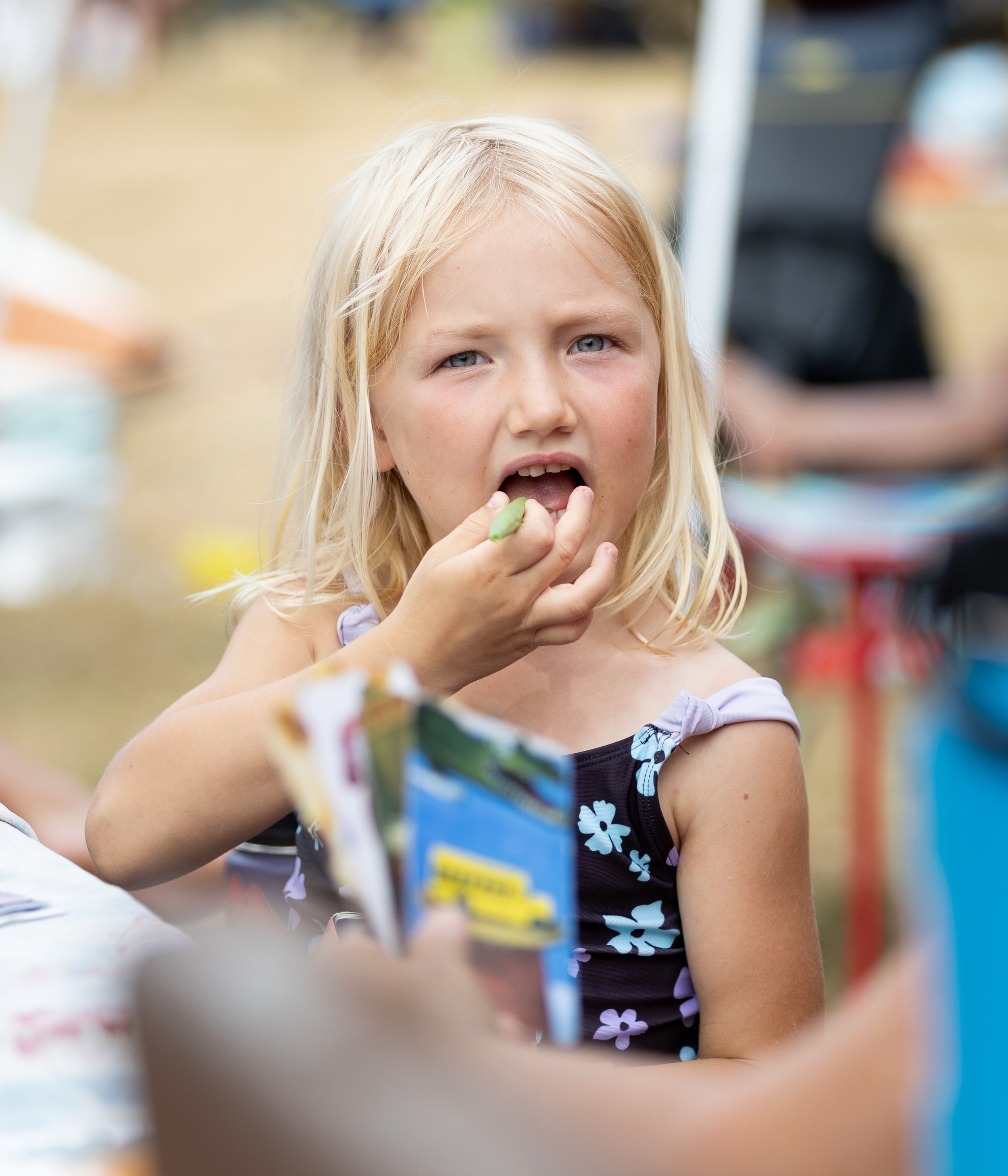 Mayfield August 2024 - 019.jpg