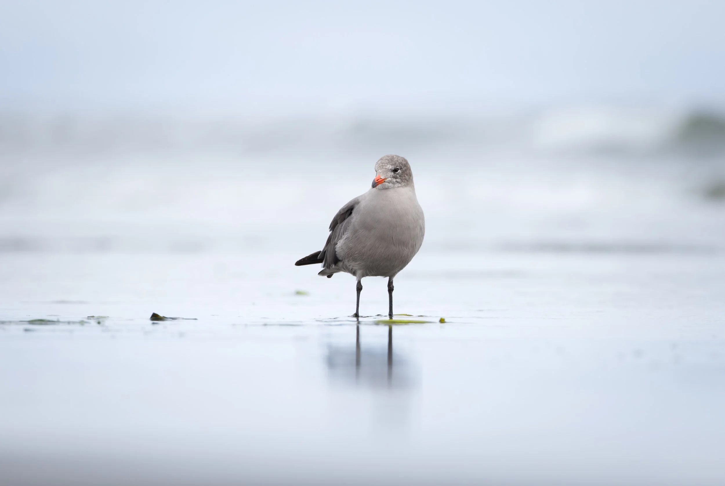 Ocean 2024 - 044.jpg