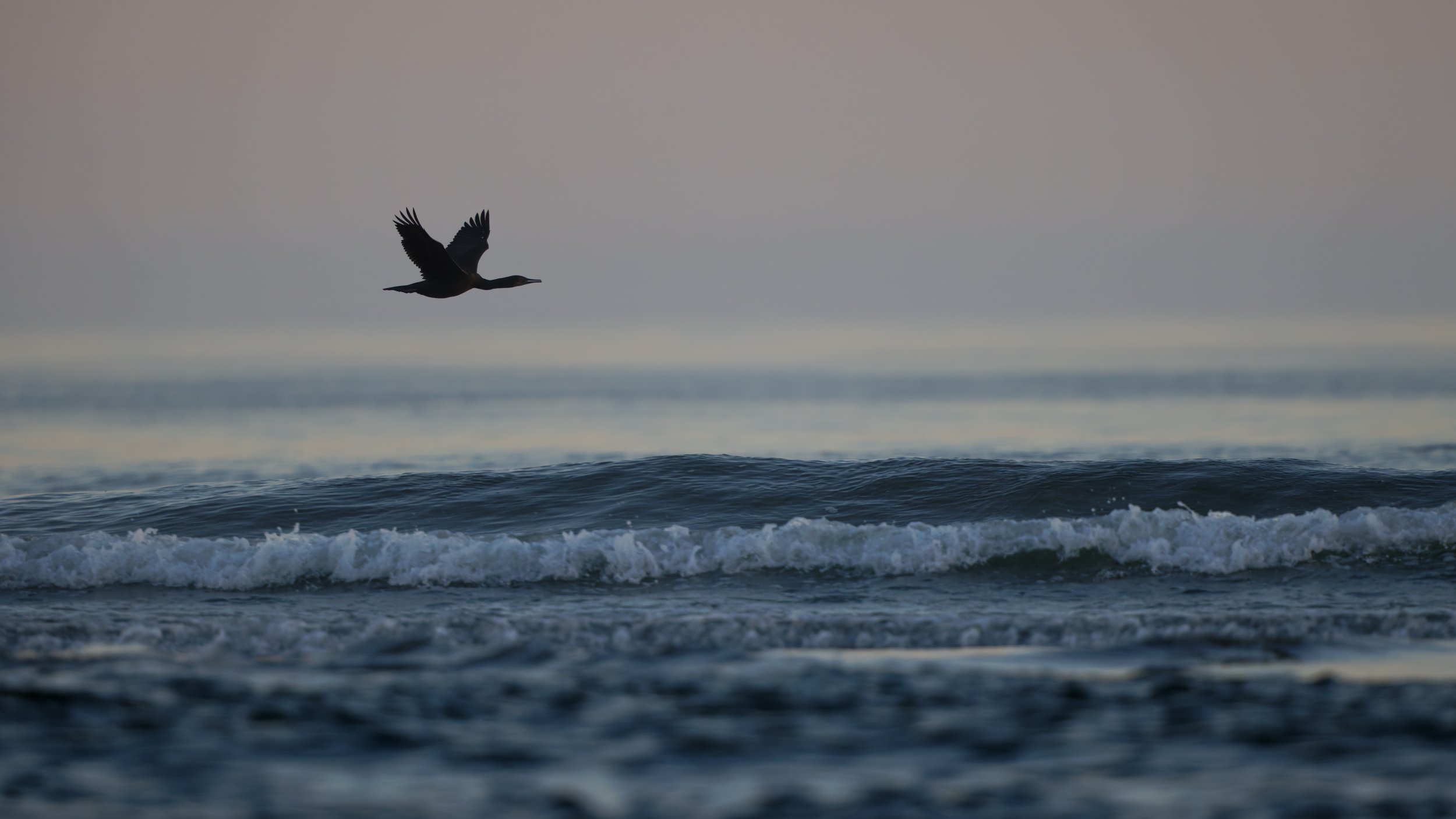 Ocean 2025 - 065.jpg