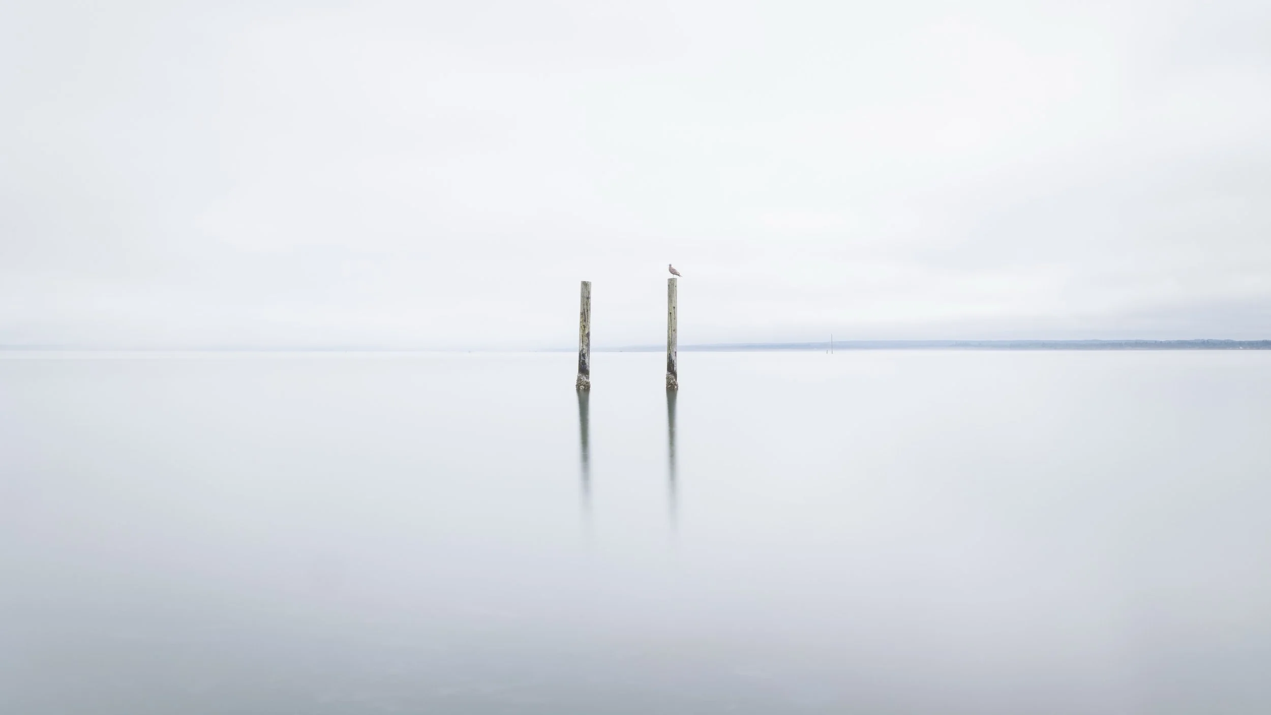 Ocean 2025 - 094.jpg