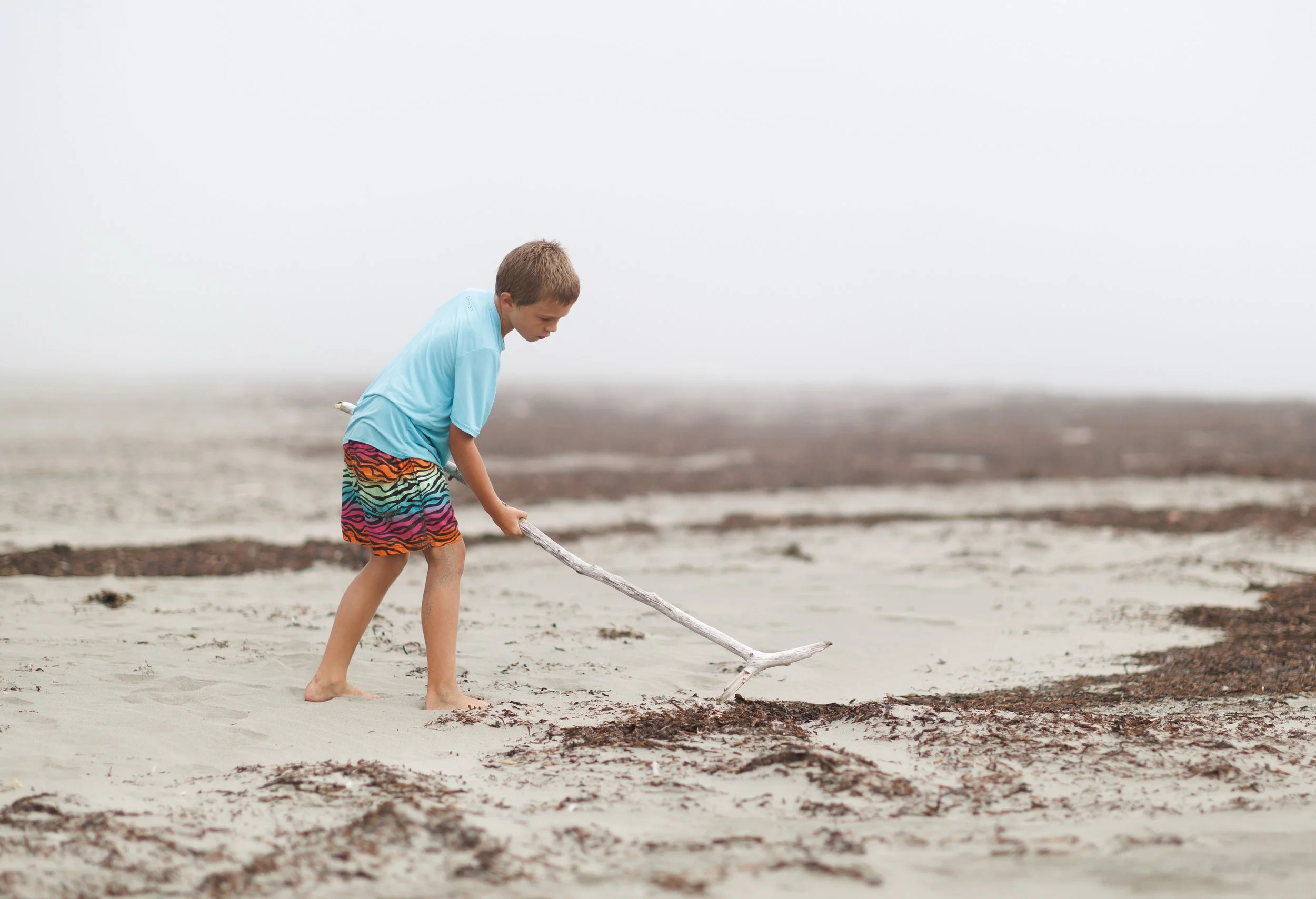 Ocean 2024 - 004.jpg