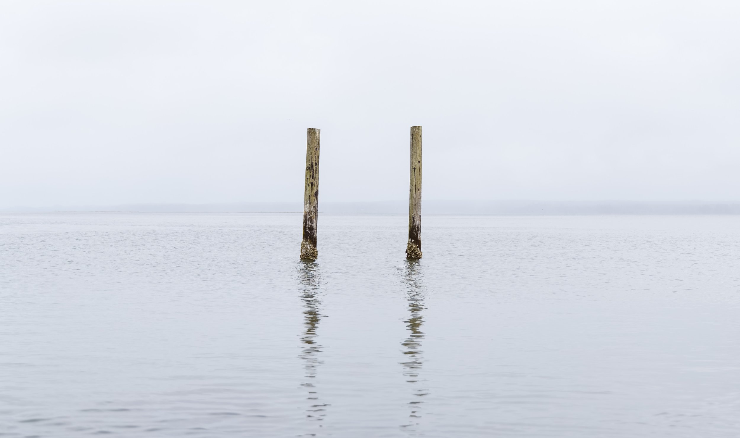 Ocean 2024 - 040.jpg