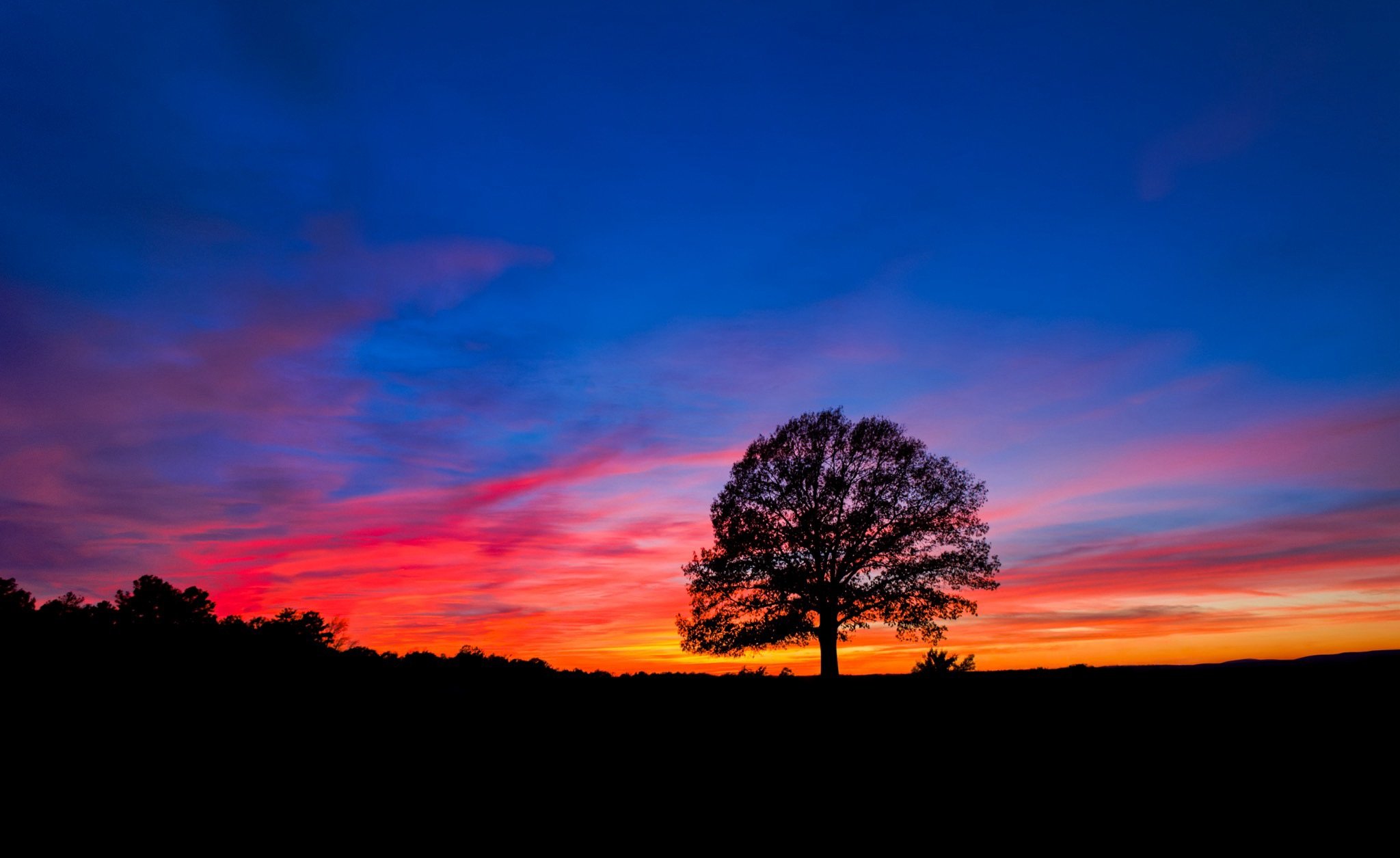 Texas 2023 - 046.jpg