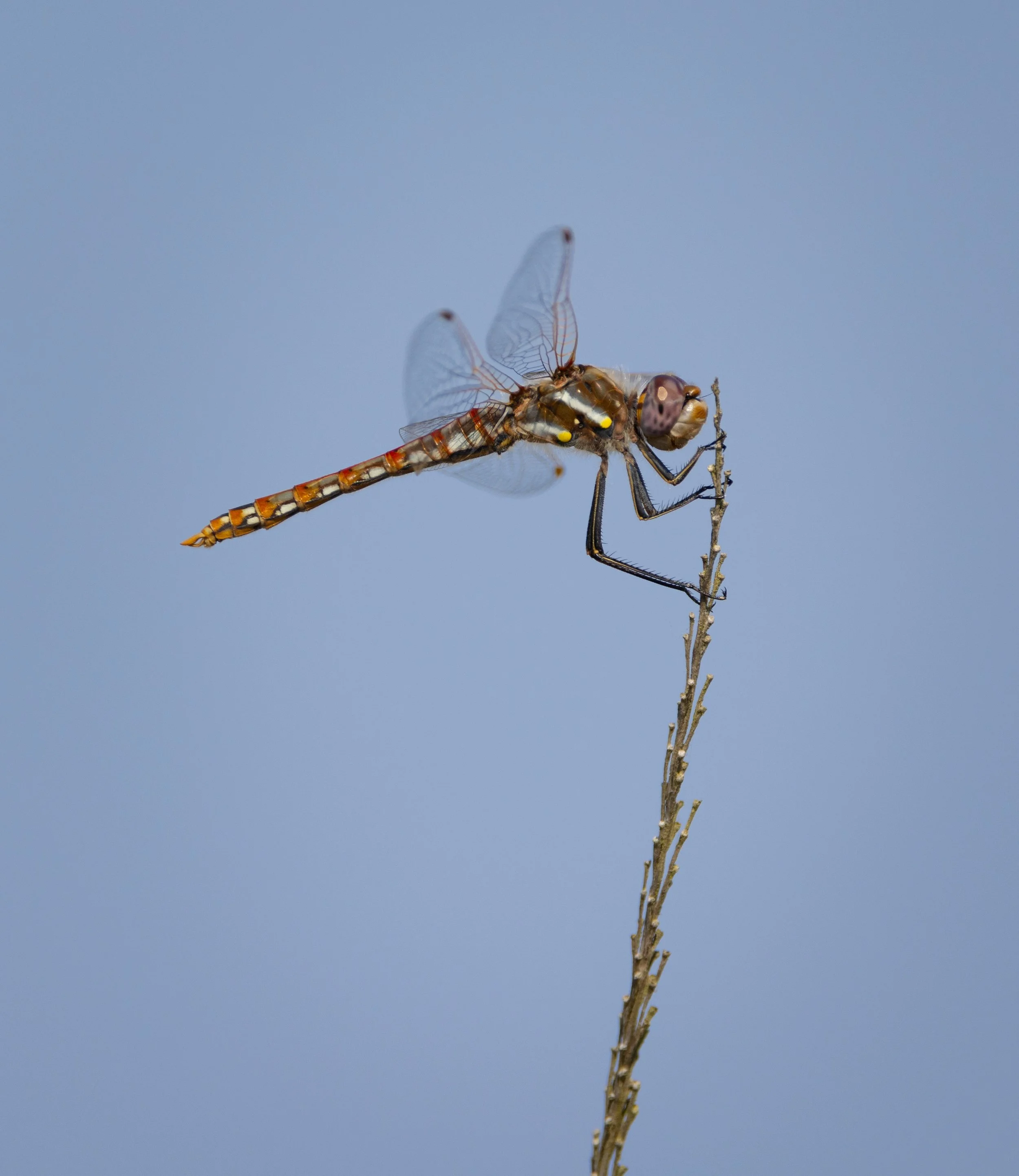 Ocean 2024 - 013.jpg