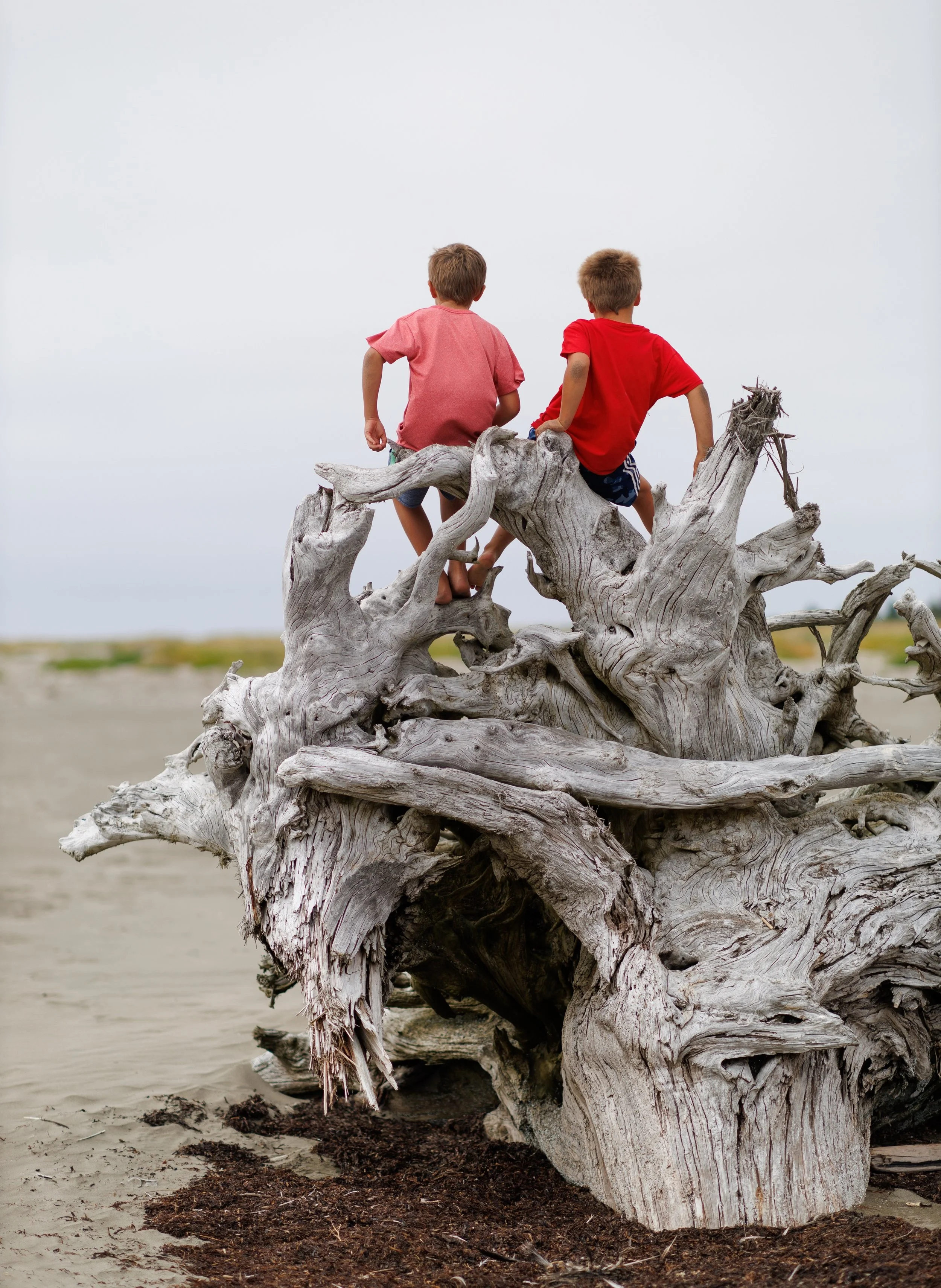 Ocean 2024 - 046.jpg