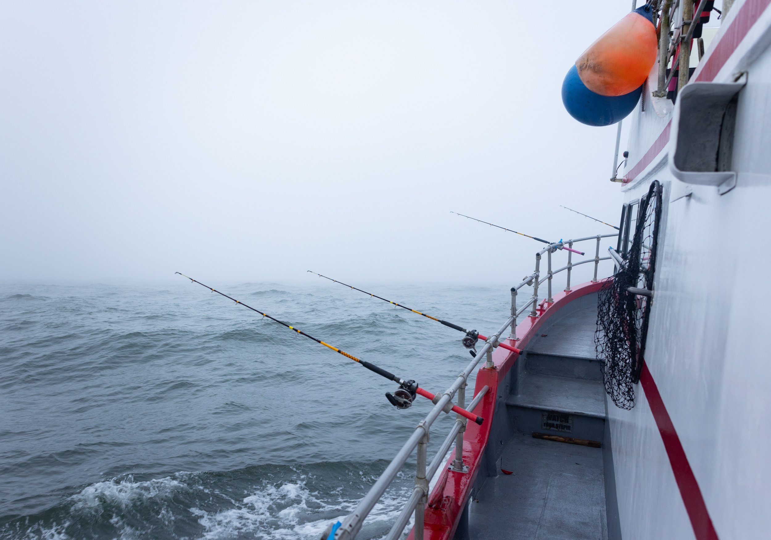 Ocean 2024 - 032.jpg