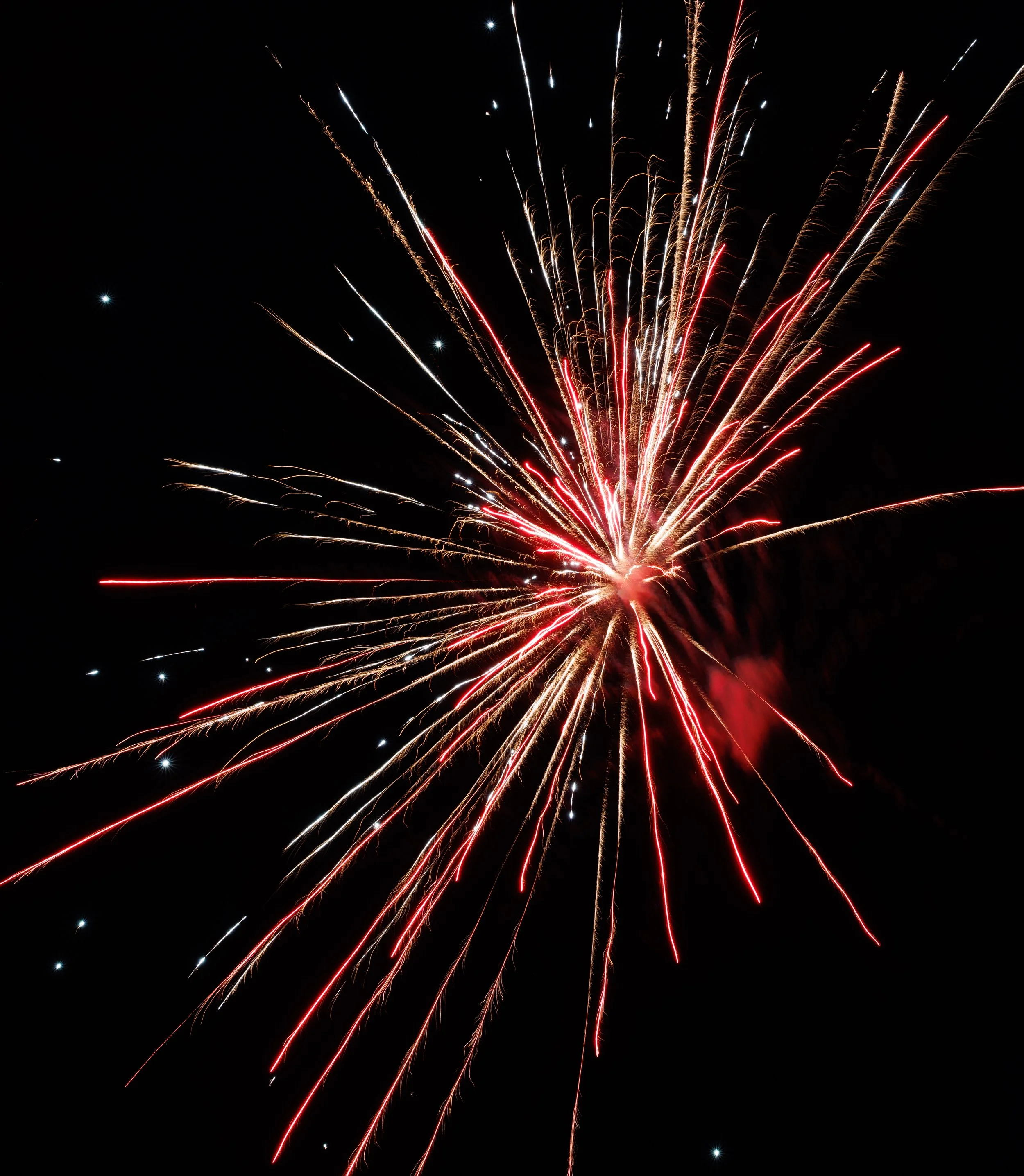 Fourth of July 2025 - 188.jpg