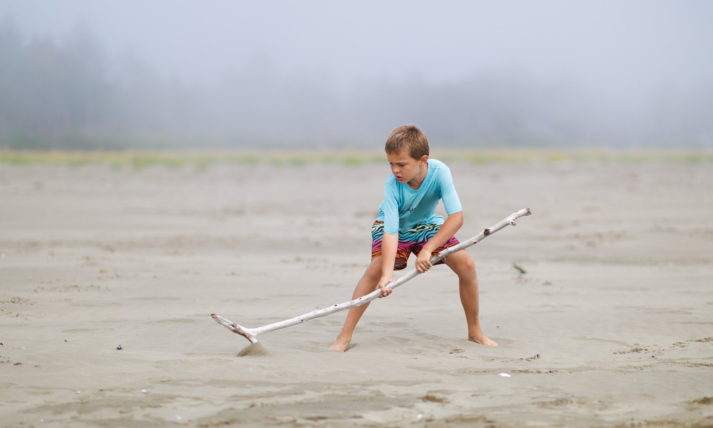 Ocean 2024 - 003.jpg