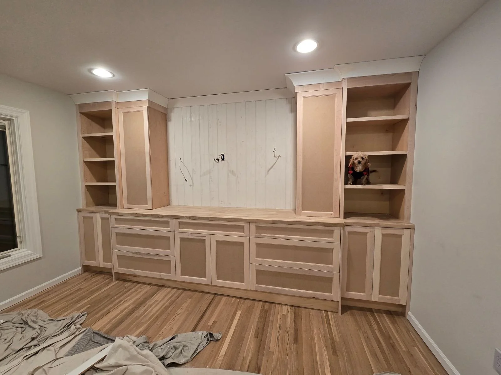 Unfinished wooden built-in bookshelf and cabinet unit in a room with light-colored walls and hardwood flooring. There is a small dog sitting on one of the shelves, wearing a red harness. The room appears to be under construction or renovation.