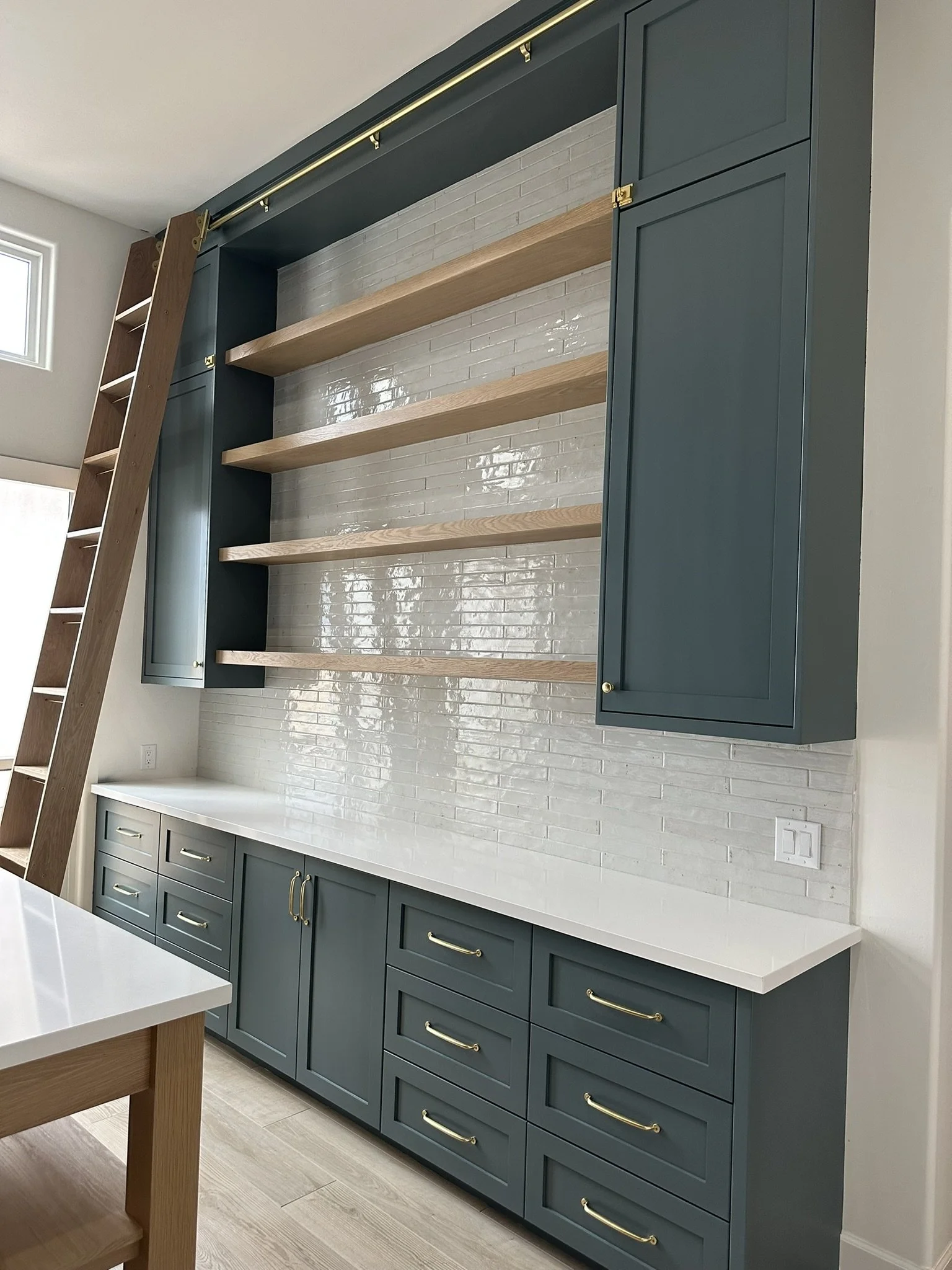 food pantry and kitchen storage with ladder