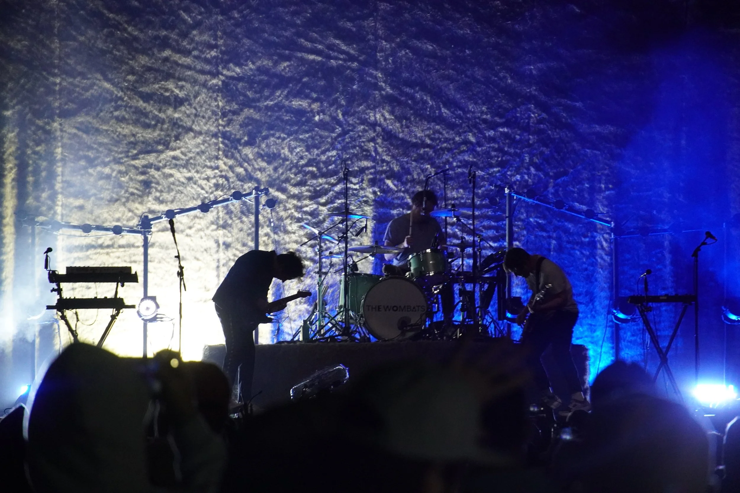 Tales of Girls, Boys, Marsupials, and Jannus Live