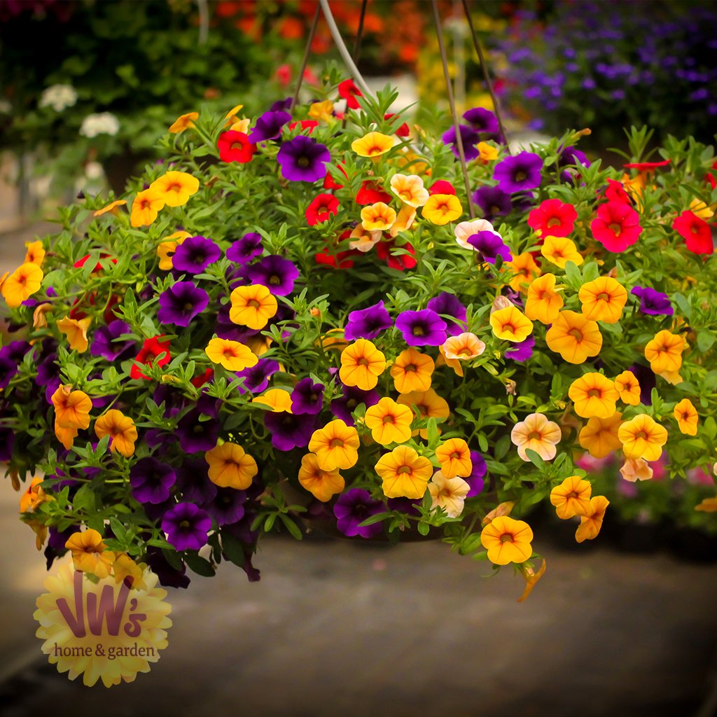 Flower Basket Sales