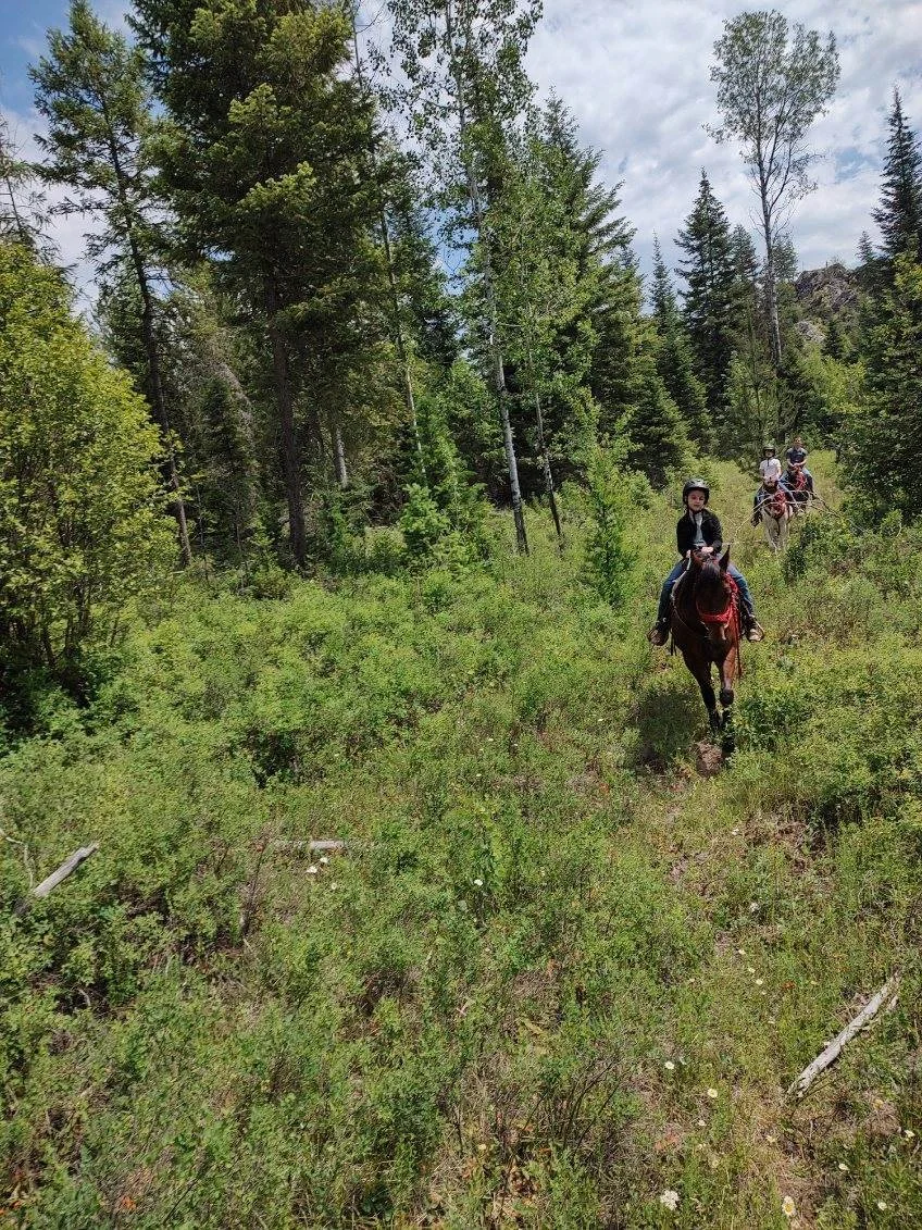 image000001 (10).jpg