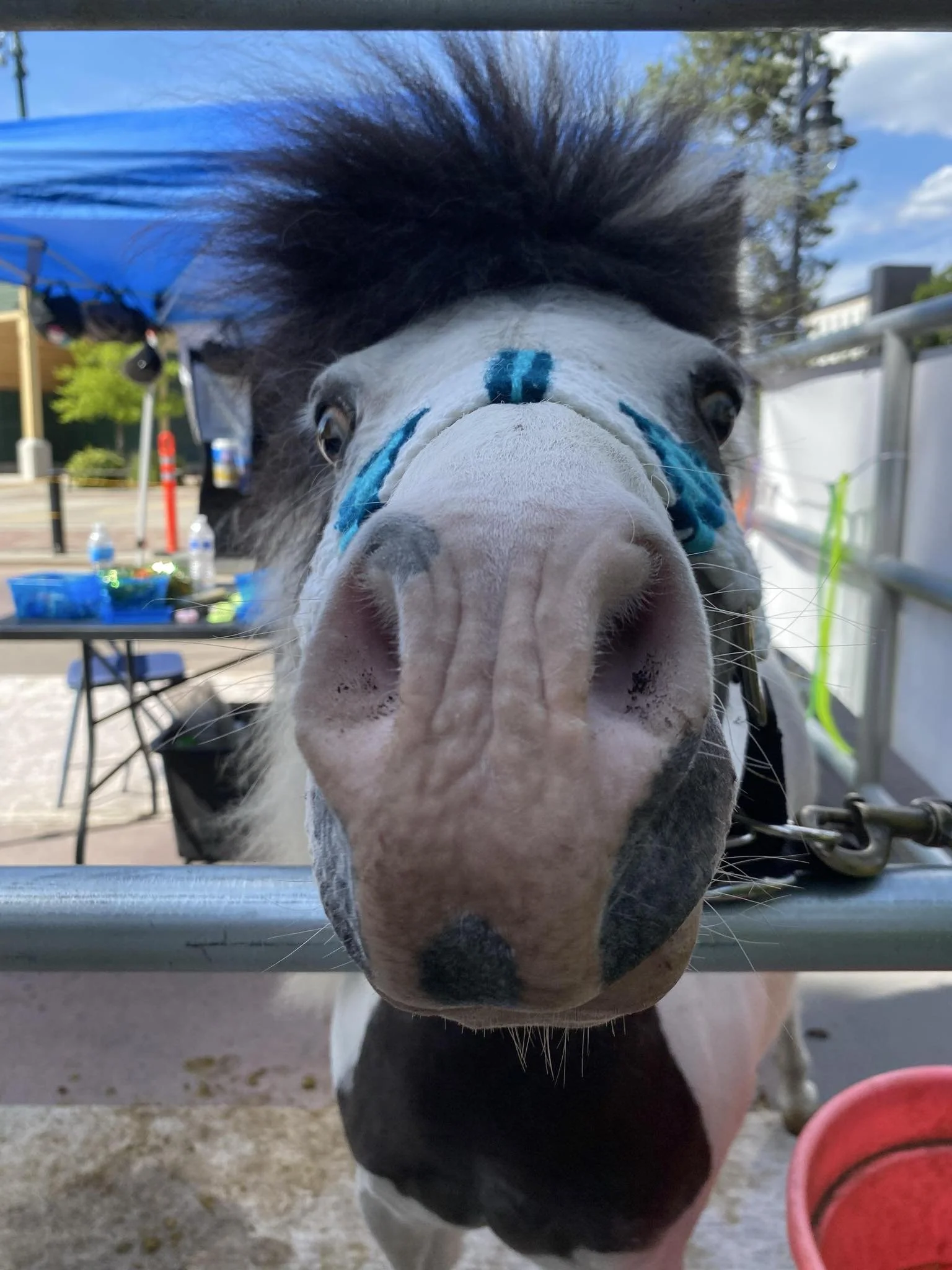 Business Suite_creation_1430418448131100.jpeg