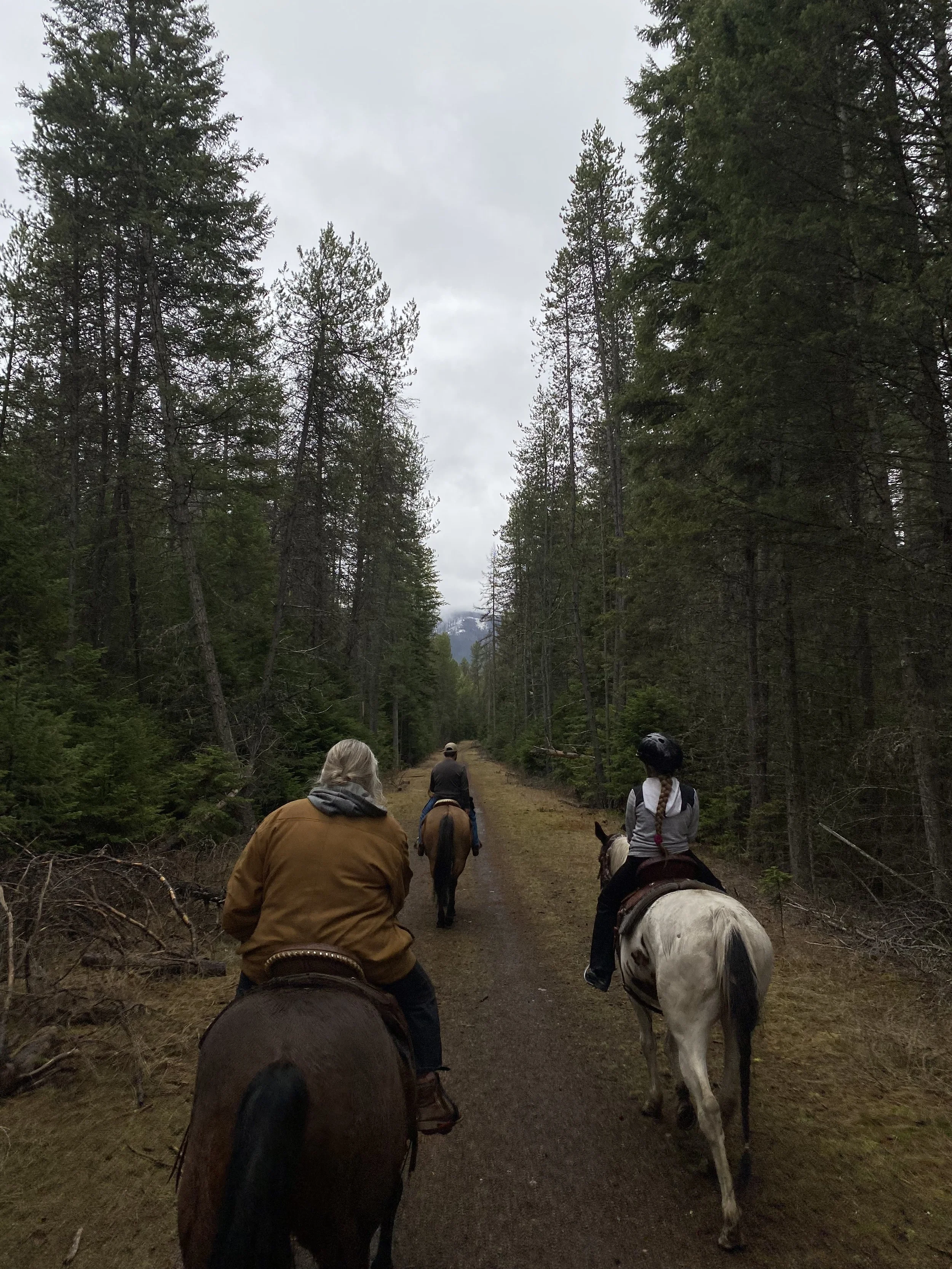 Photo Mar 31 2025, 12 42 44 PM (1).jpg