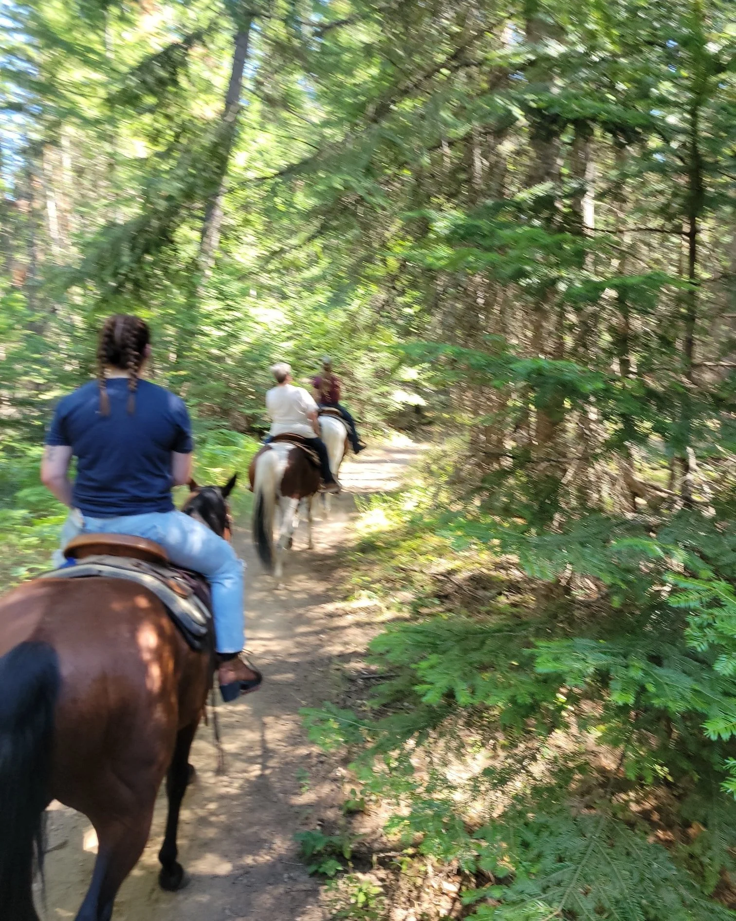 Great rides this week thank you everyone. To join us on a ride  #cariboucreekfarms #cariboucreekoutfitters #horsebackriding #summer #travel #trailride #exploreidaho #romanticgetaway #idahoadventures #equestrianadventures #summertrends #horsebackridin