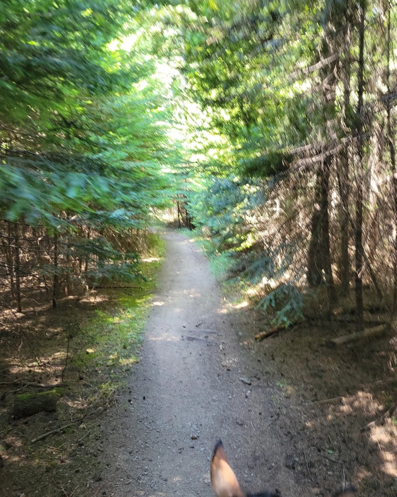 Beautiful  fall weather for a trail ride. 
 #cariboucreekfarms #homeschoolmom #cariboucreekoutfitters #idahoadventures #exploreidaho #trailride