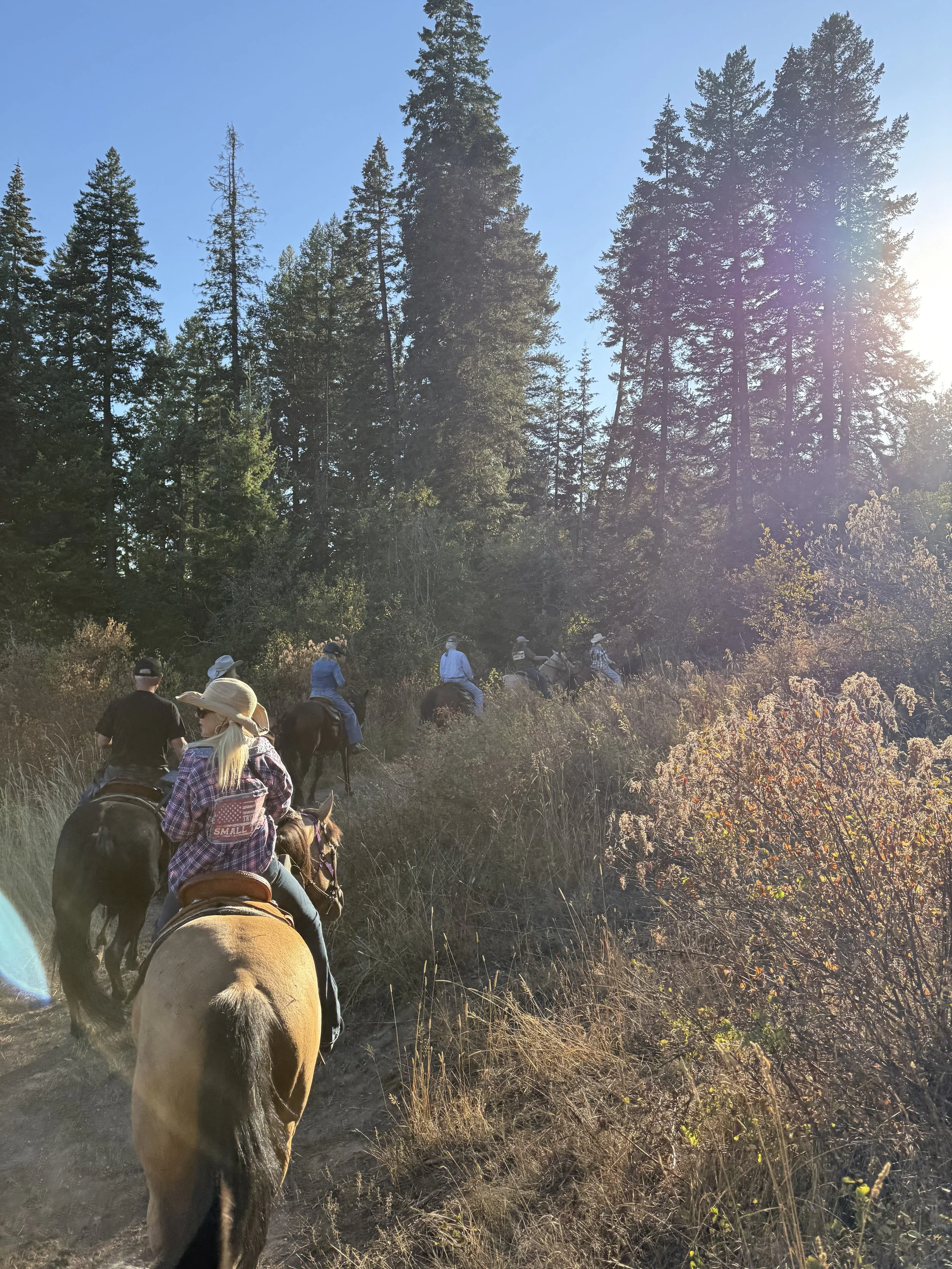 Photo Sep 22 2025, 4 47 56 PM.jpg