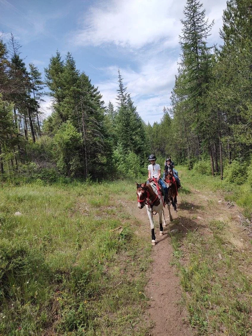 image000000 (13).jpg