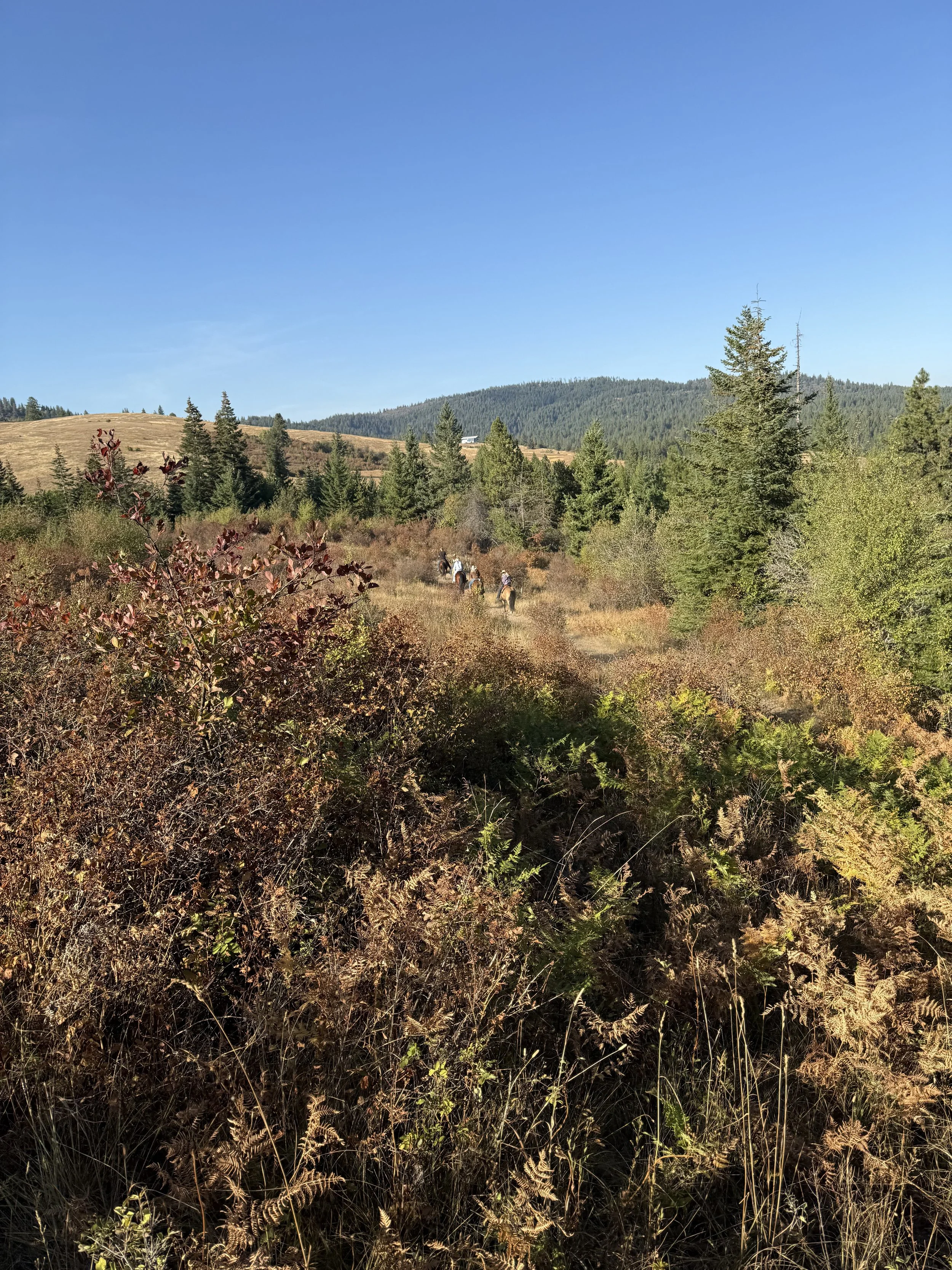 Photo Sep 22 2025, 4 15 03 PM.jpg