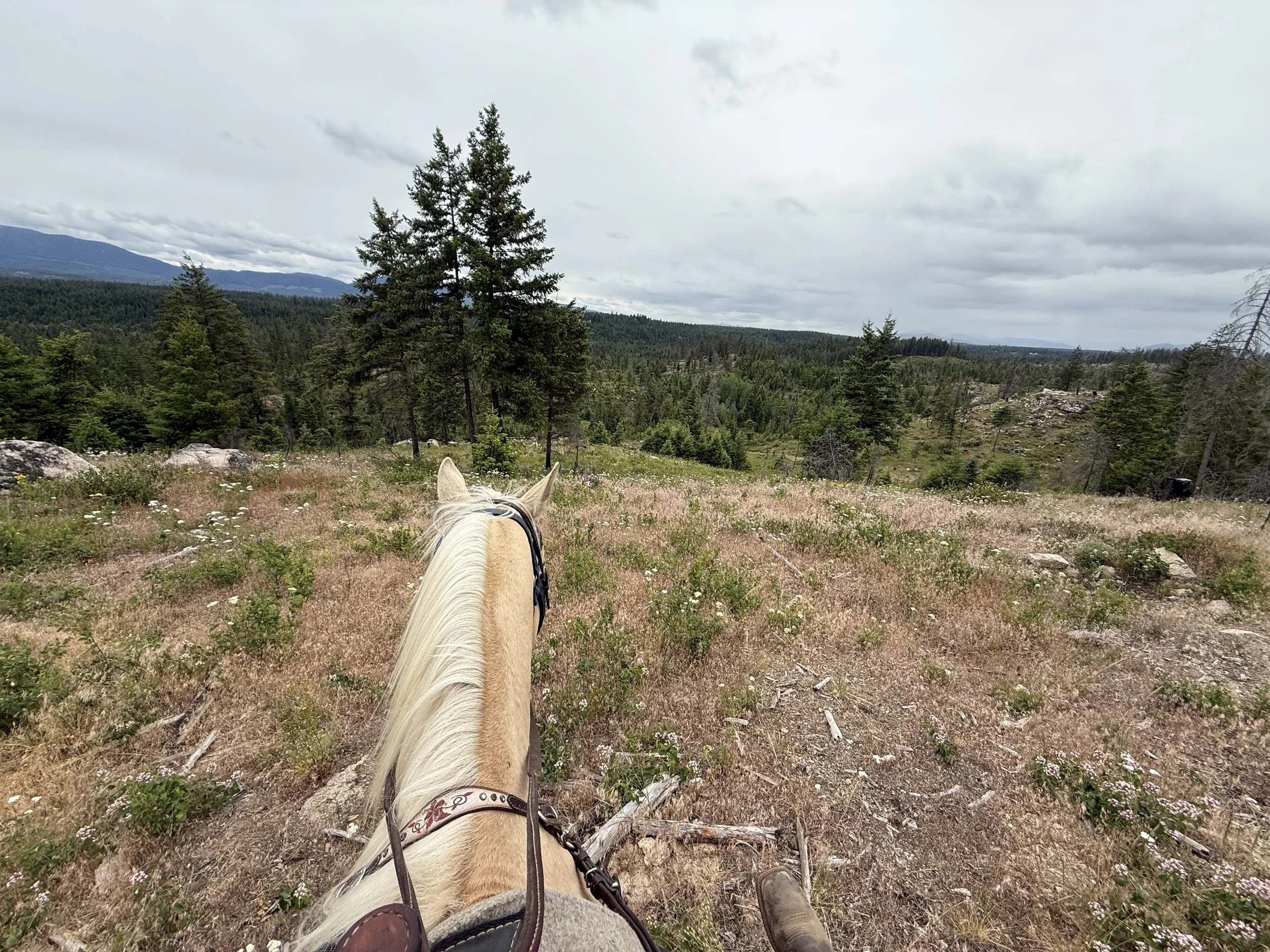 Photo Jun 21 2025, 3 28 30 PM.jpg