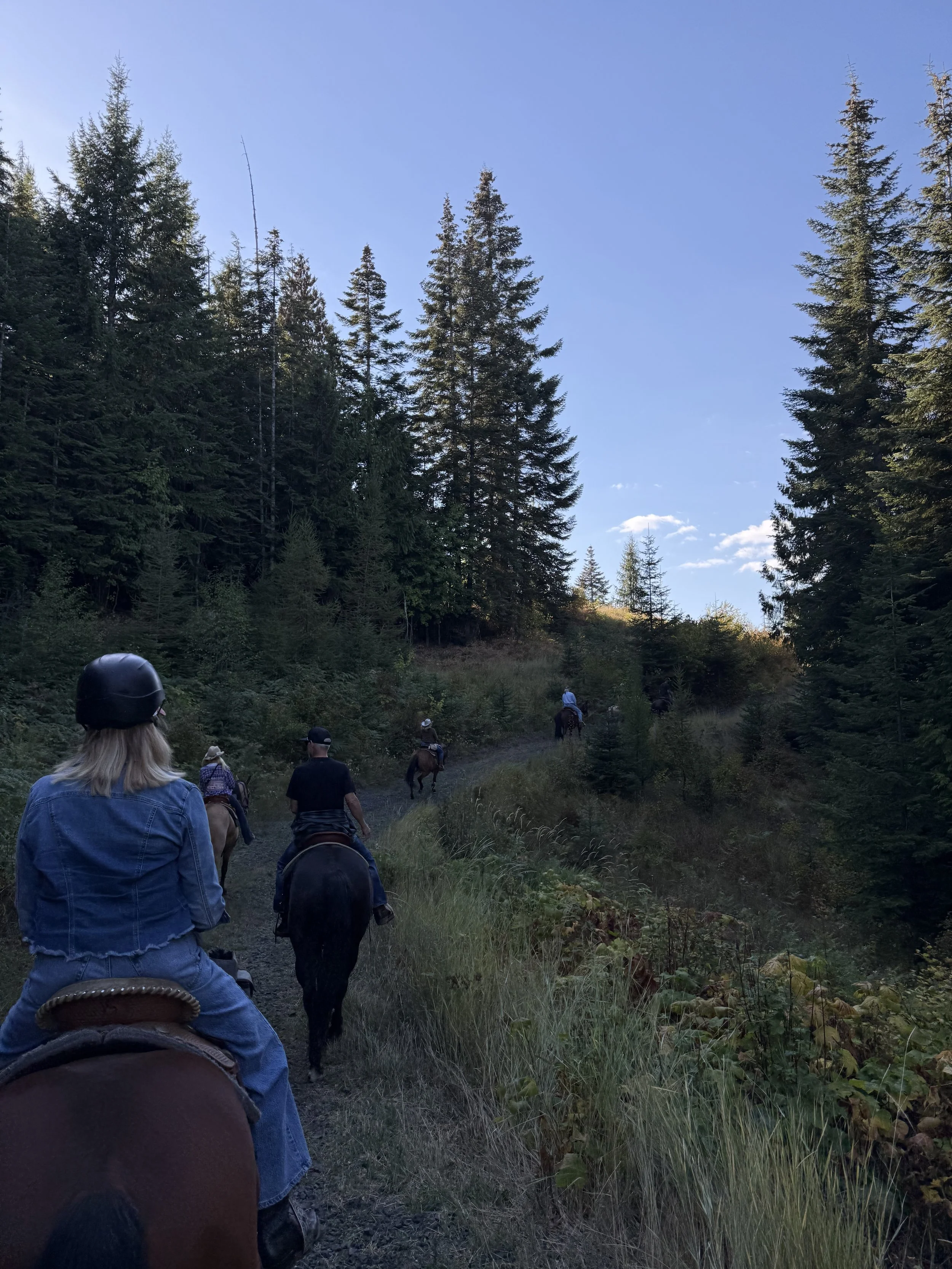 Photo Sep 22 2025, 3 58 29 PM.jpg