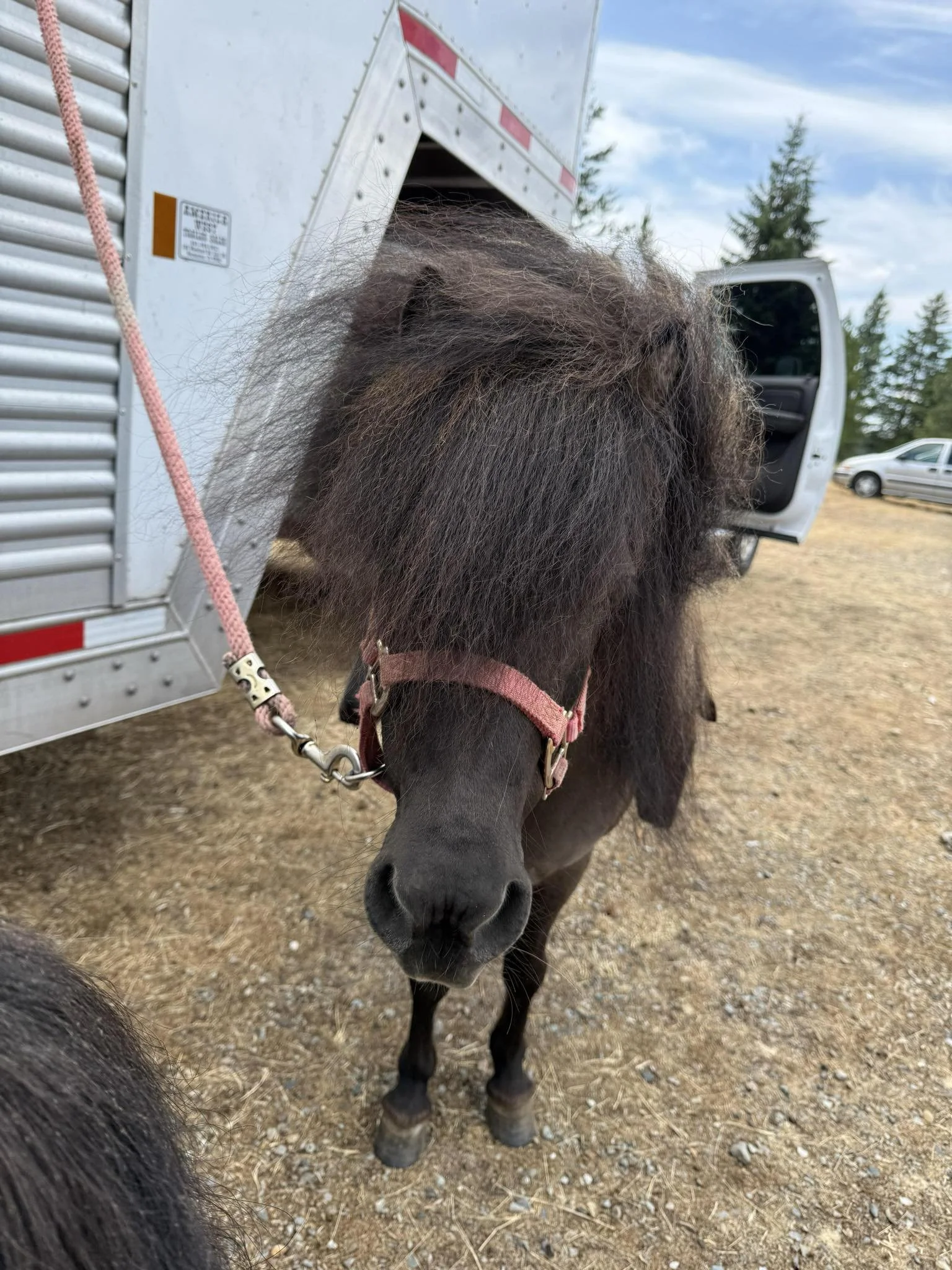 Business Suite_creation_2046337685893397.jpeg