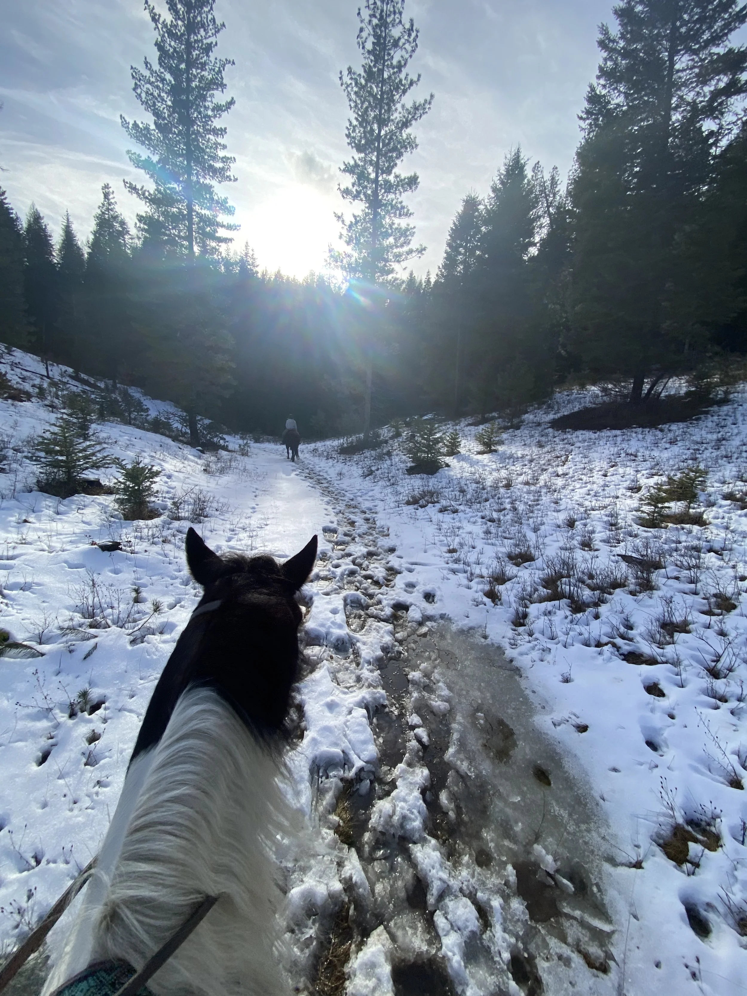 Photo Feb 26 2025, 3 33 31 PM.jpg