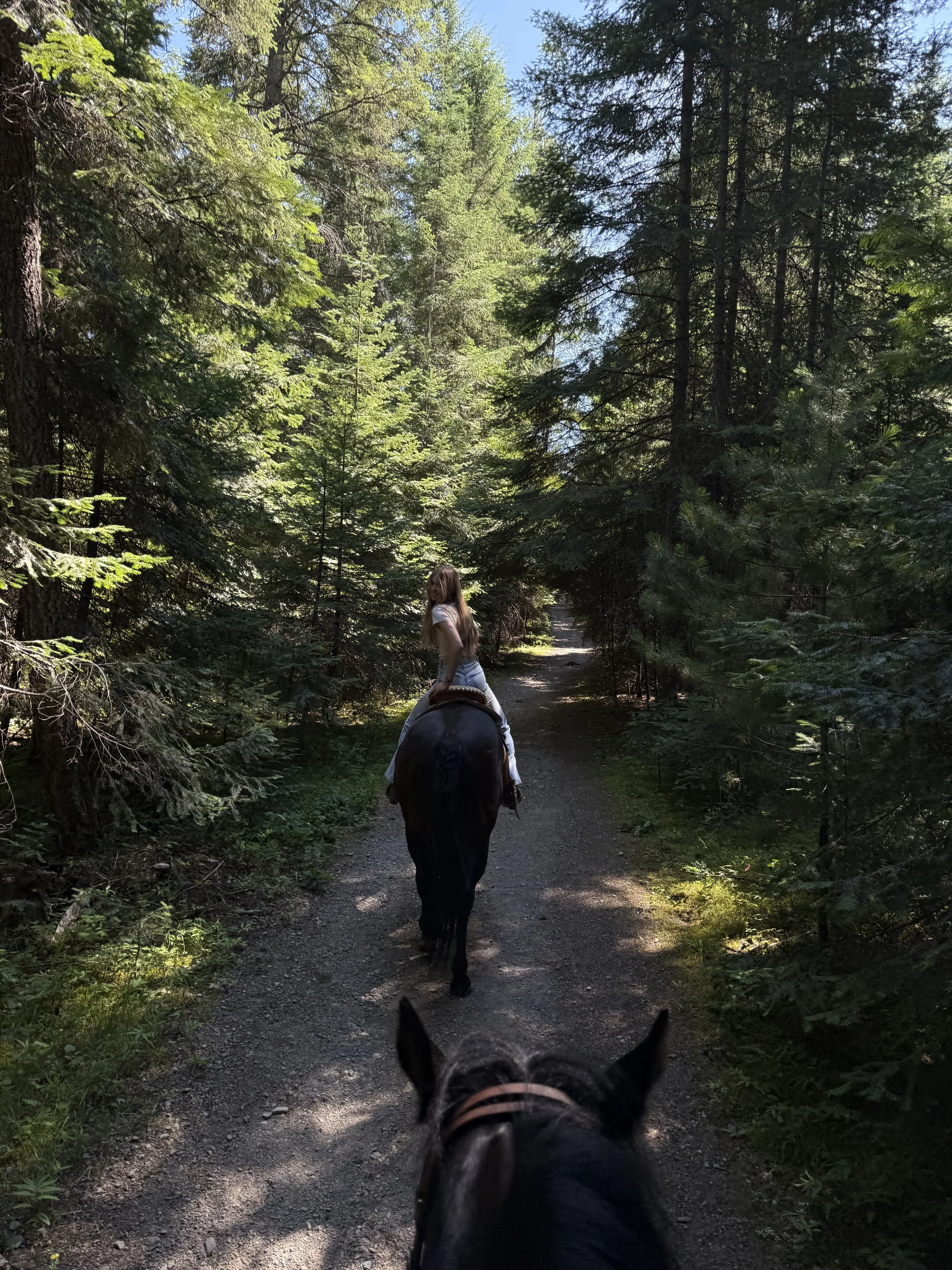 Photo Jul 11 2025, 2 55 37 PM.jpg