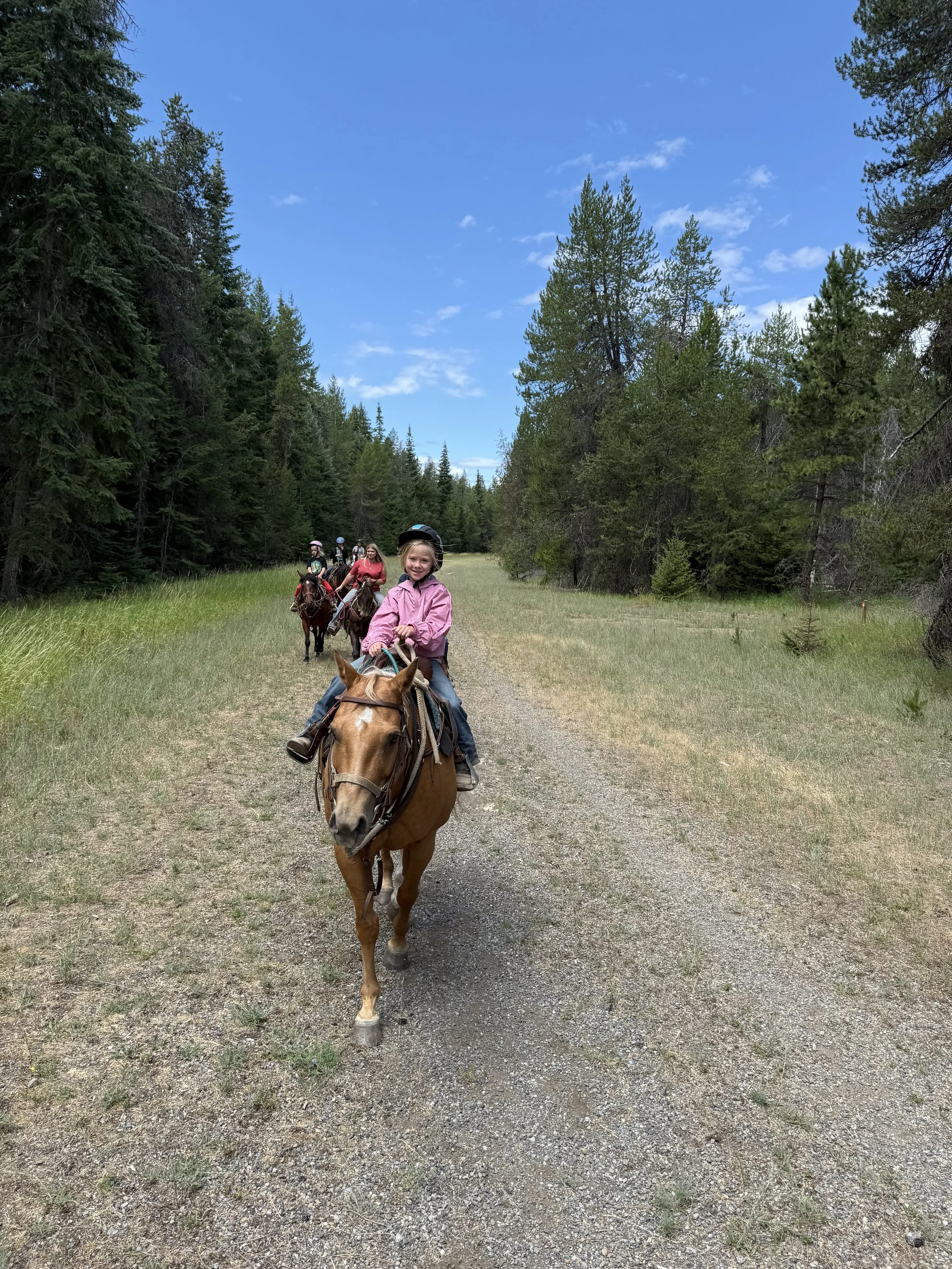 Photo Jul 15 2025, 11 53 54 AM.jpg