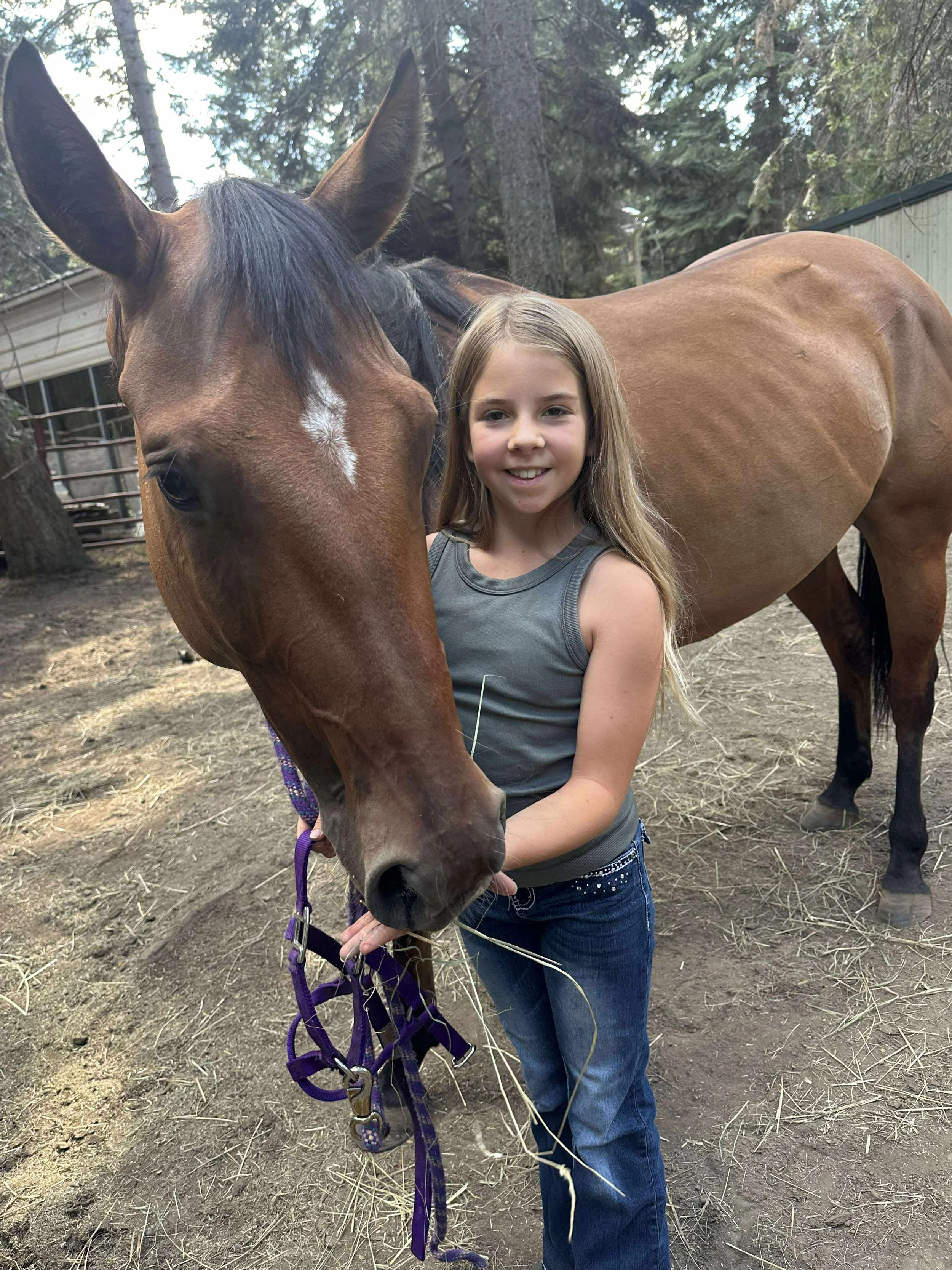 Business Suite_creation_639422341957677.jpeg