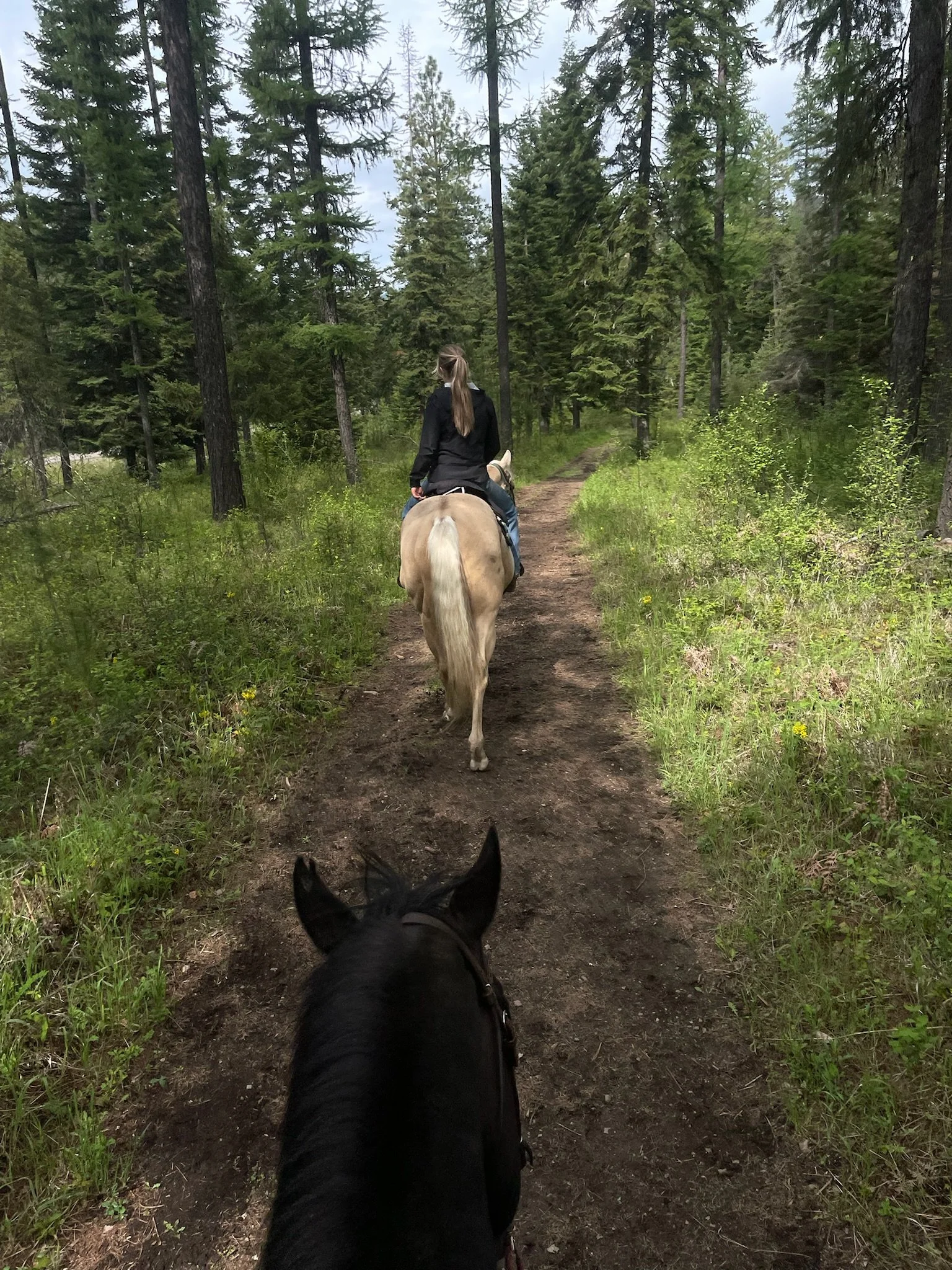 Photo May 14 2025, 3 00 26 PM.jpg