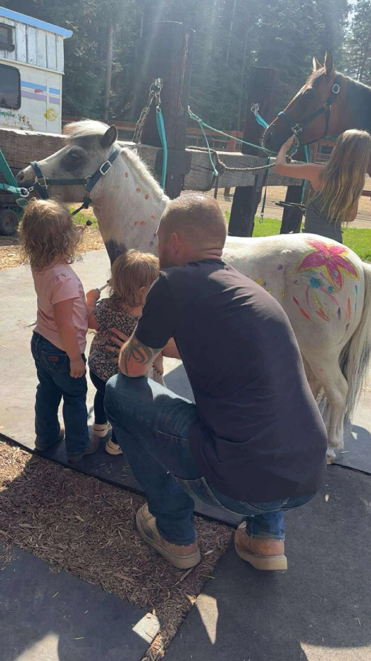 Business Suite_creation_1301507578168491.jpeg