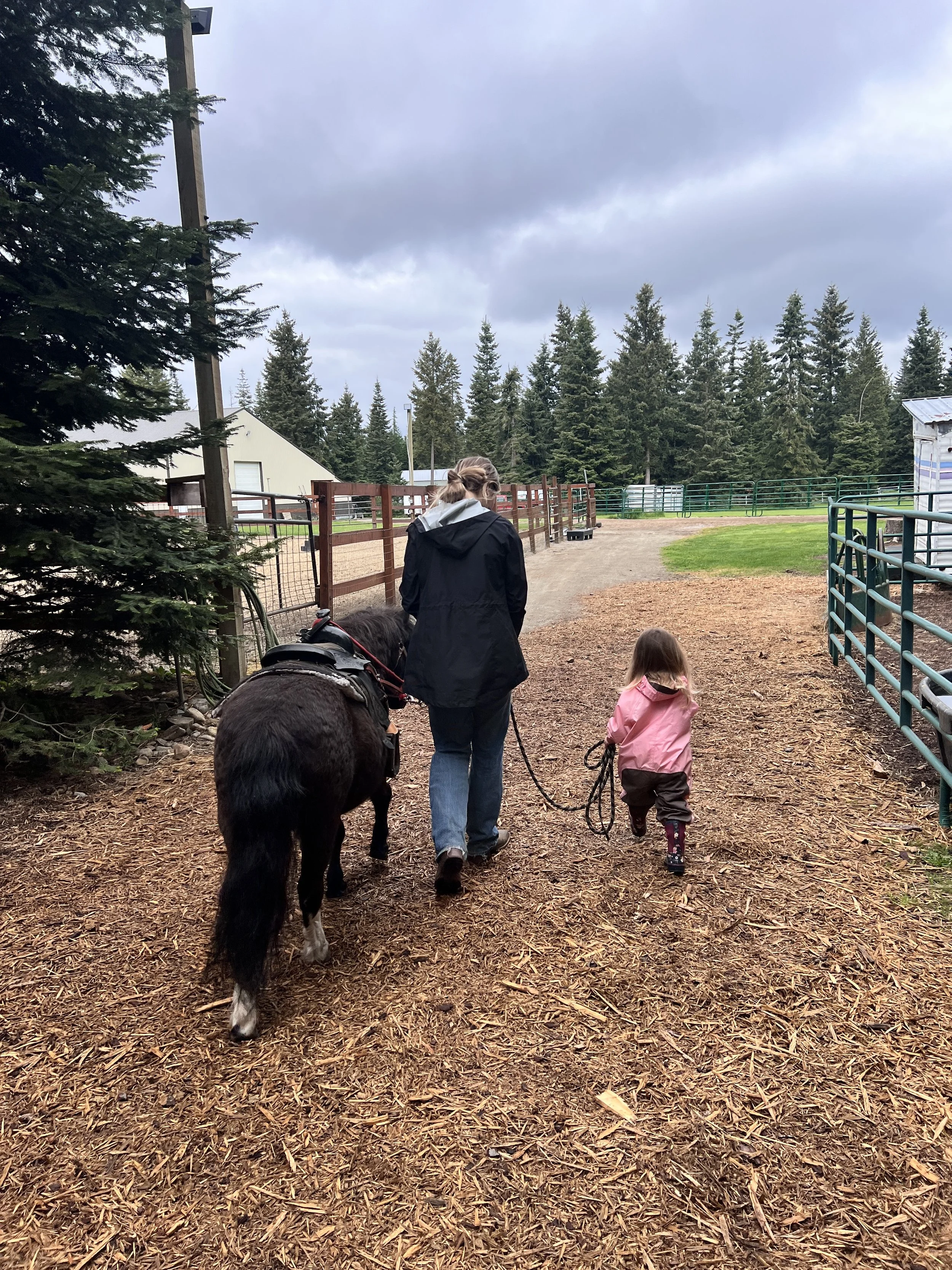 Photo May 14 2025, 10 56 12 AM.jpg