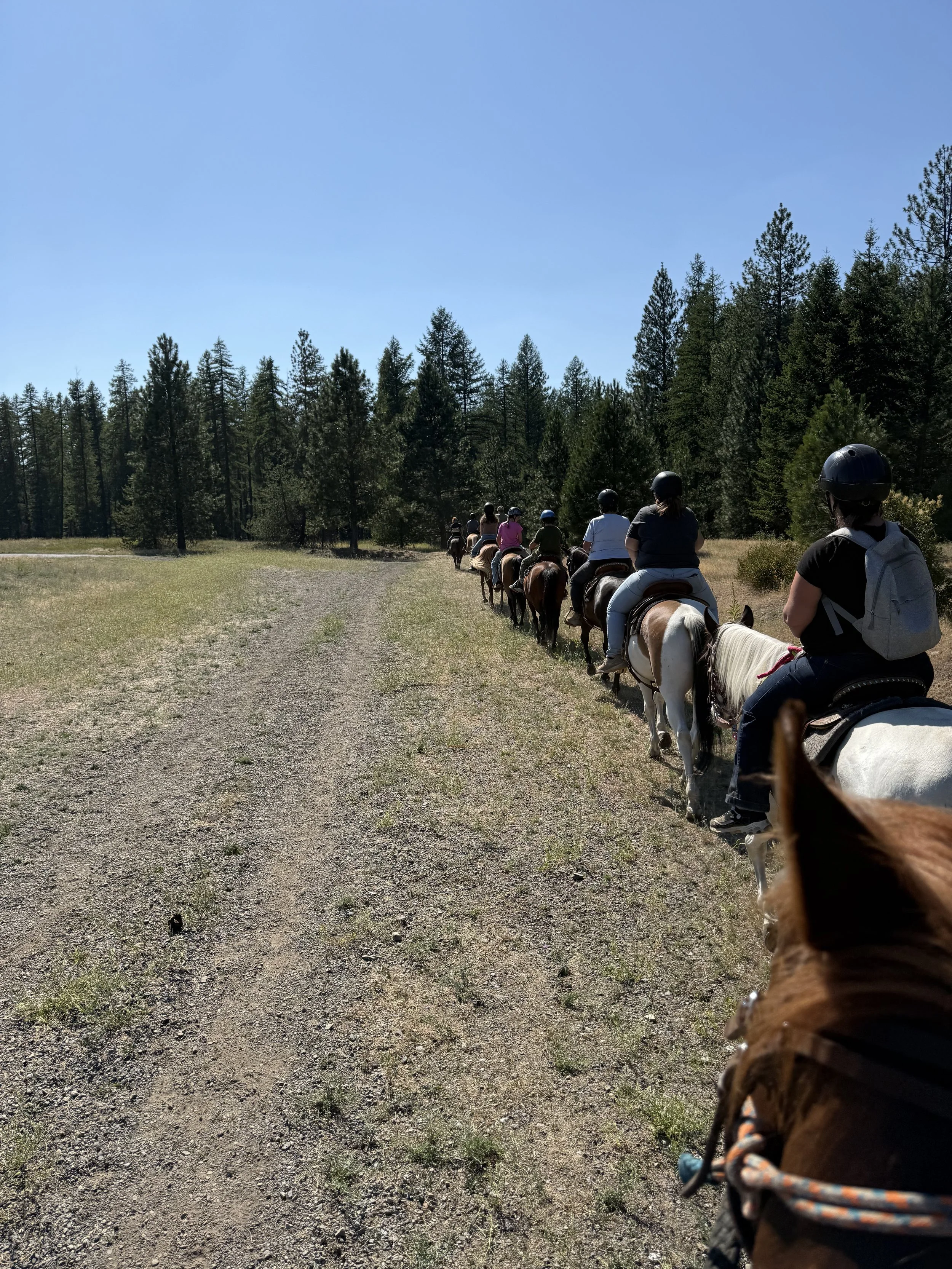 Photo Jul 16 2025, 3 58 59 PM.jpg