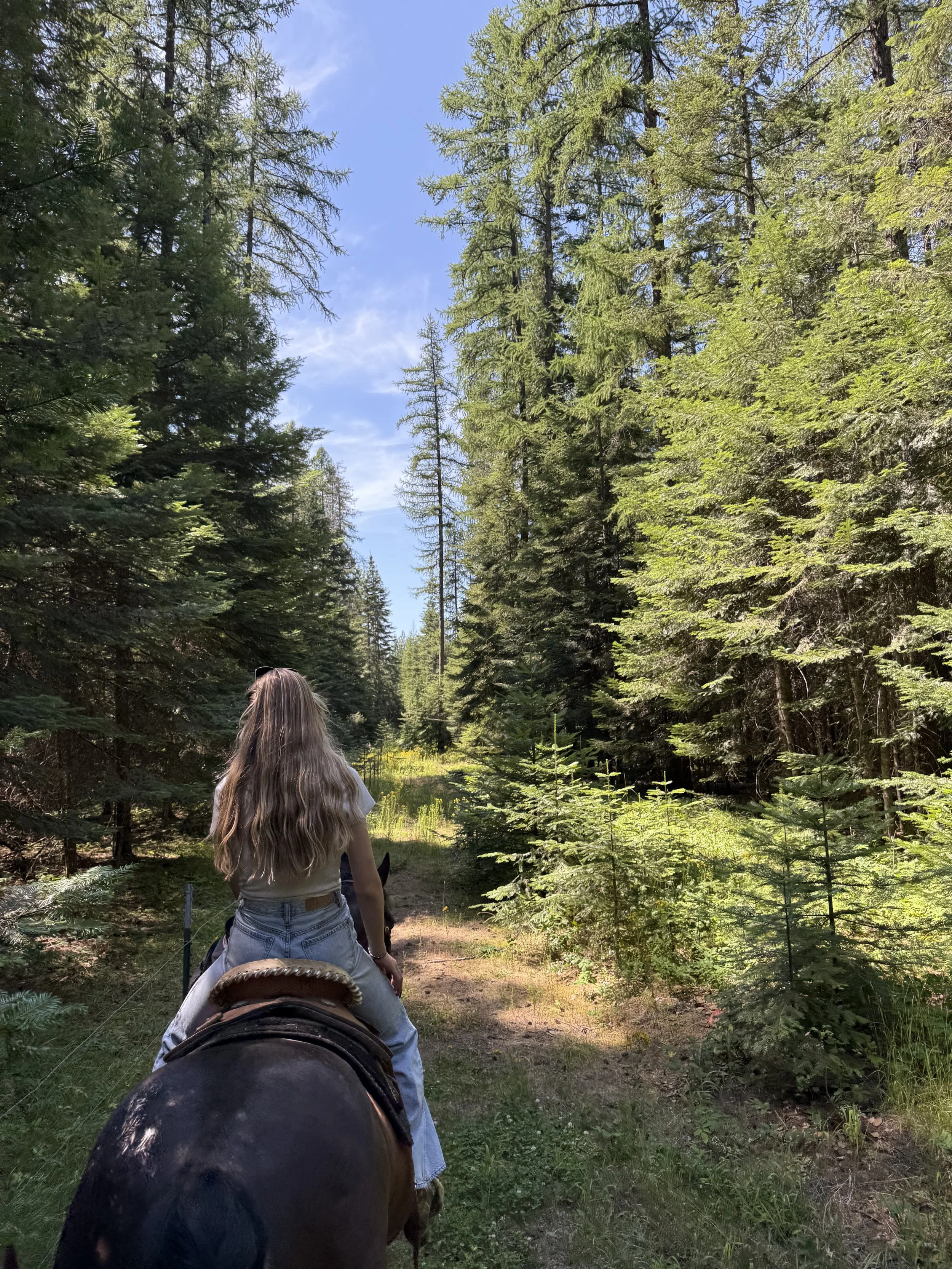 Photo Jul 11 2025, 2 21 16 PM.jpg