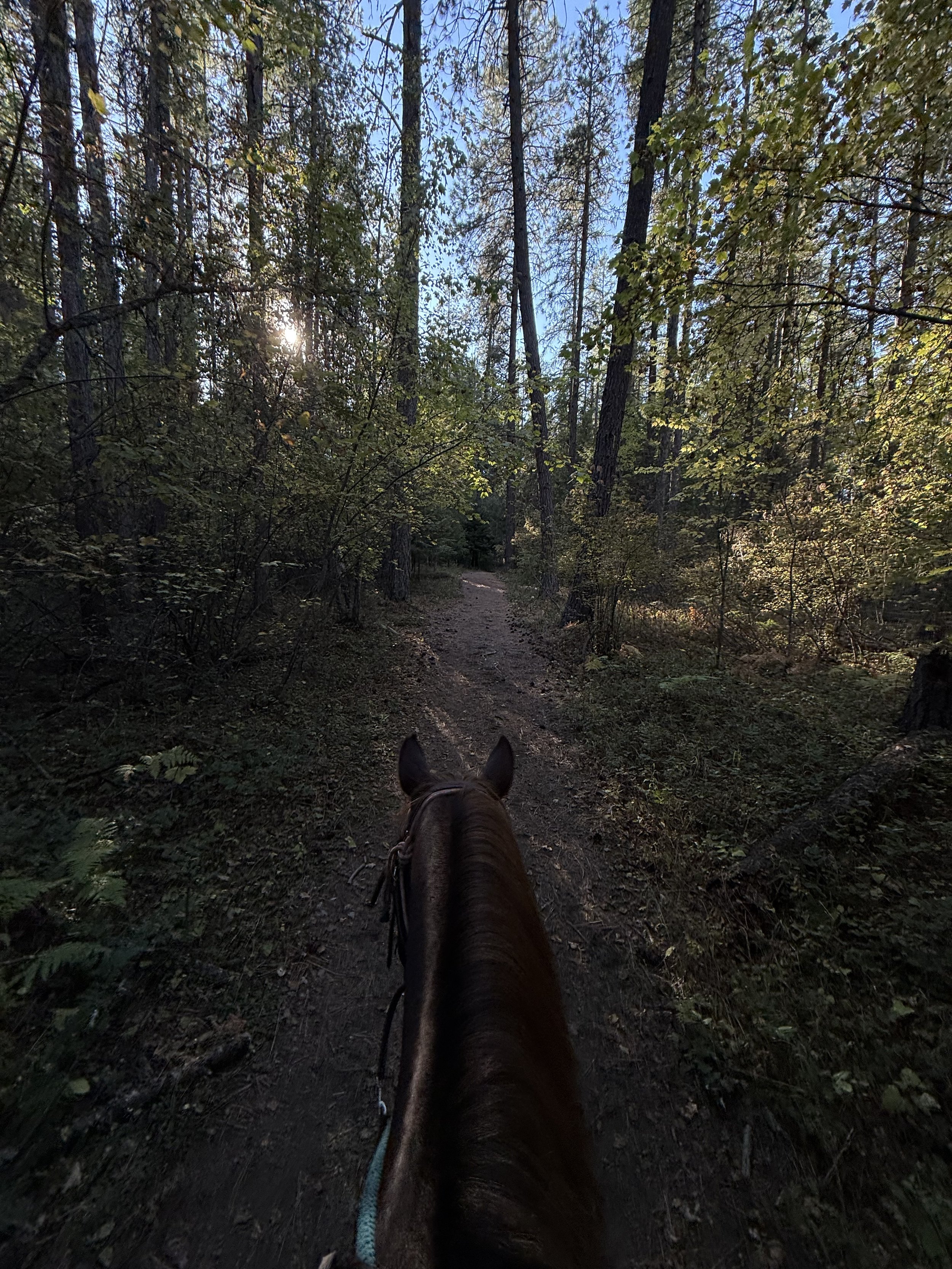 Photo Oct 08 2025, 3 42 16 PM.jpg