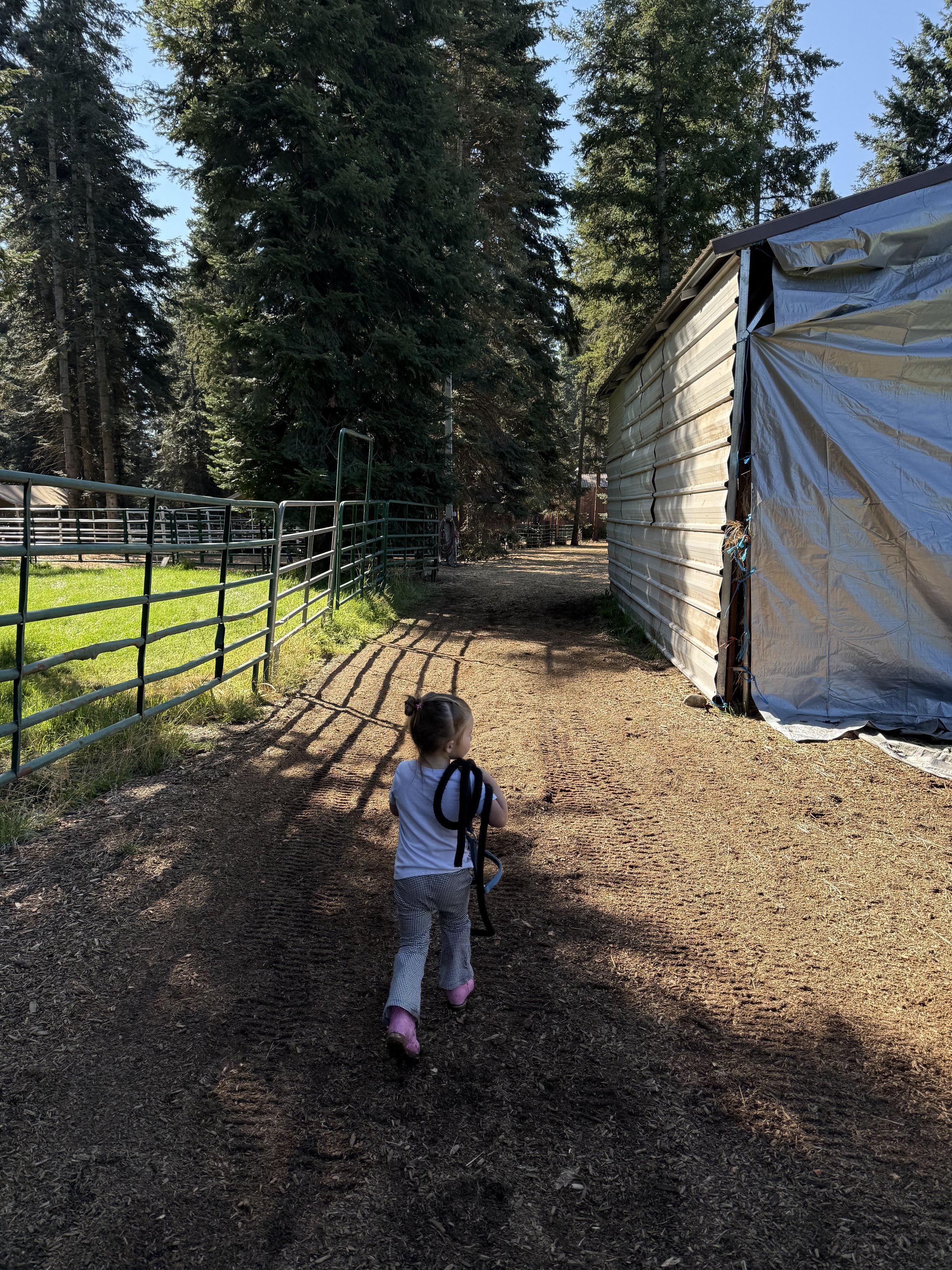 Photo Sep 24 2025, 10 49 30 AM.jpg