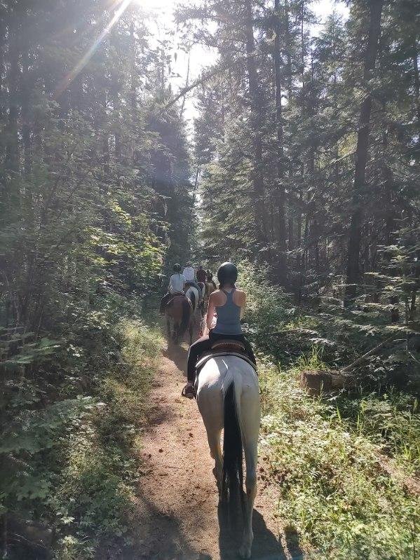 image000000 (11).jpg