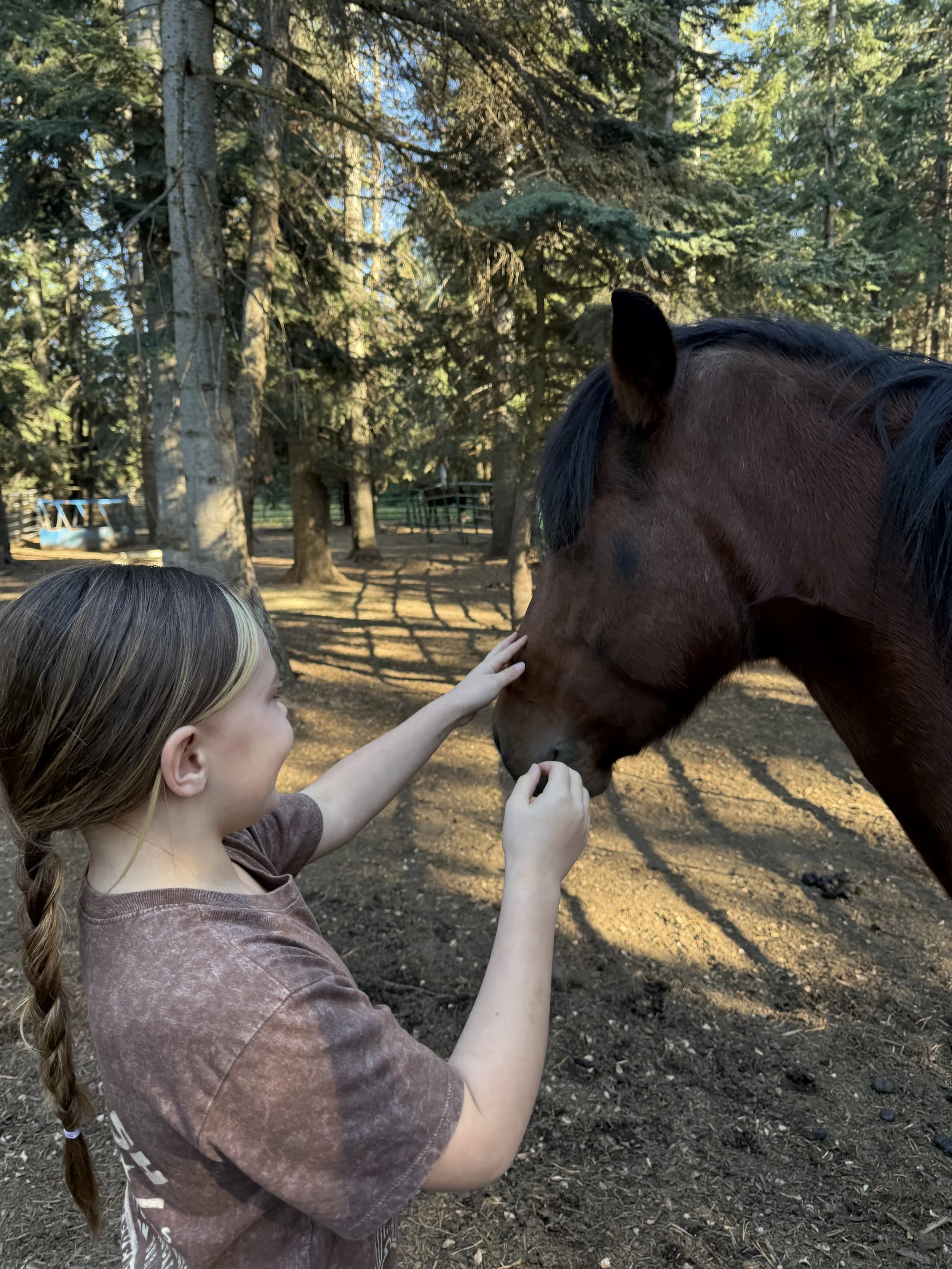 Photo Sep 26 2025, 4 06 49 PM.jpg