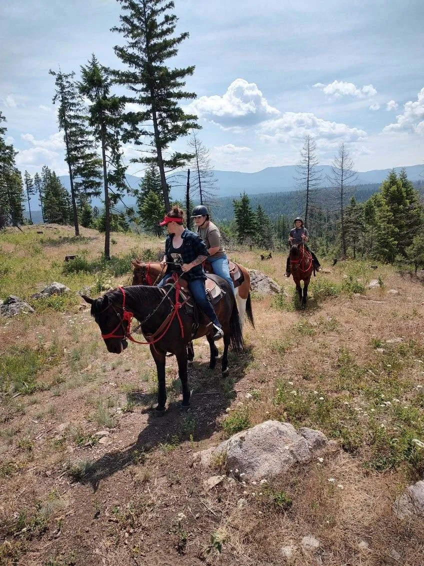 image000000 (12).jpg