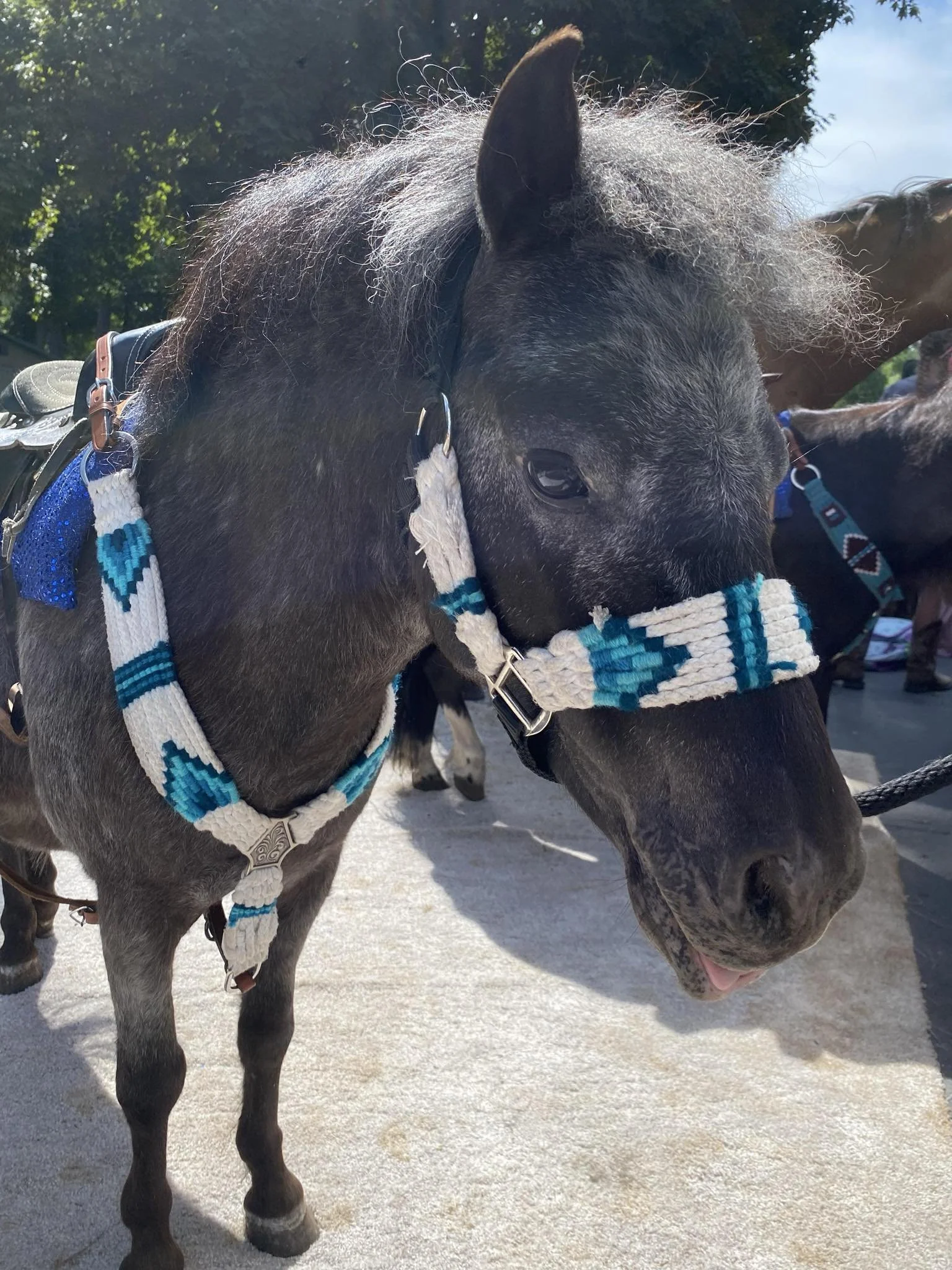 Business Suite_creation_2200305833738030.jpeg