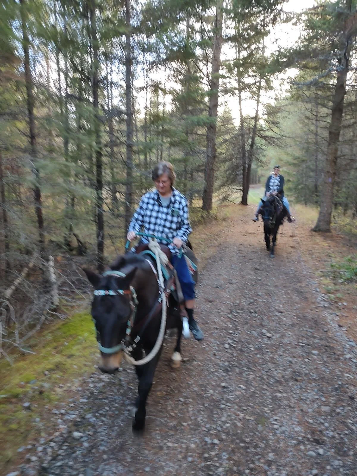 image000001 (14).jpg